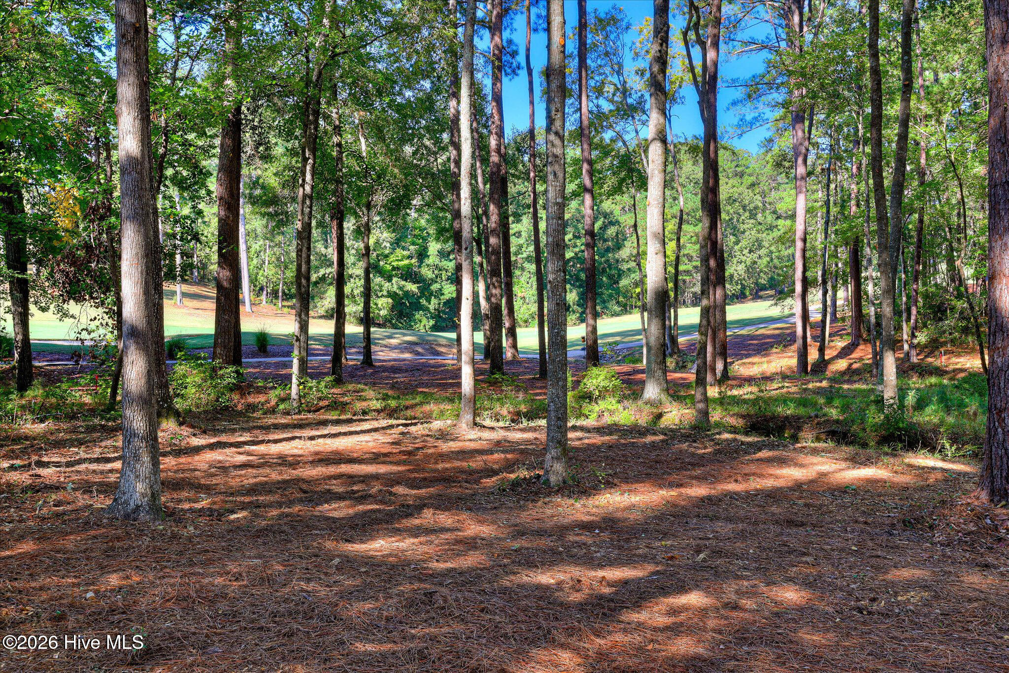 212 Pirates Cove Property Photo 6