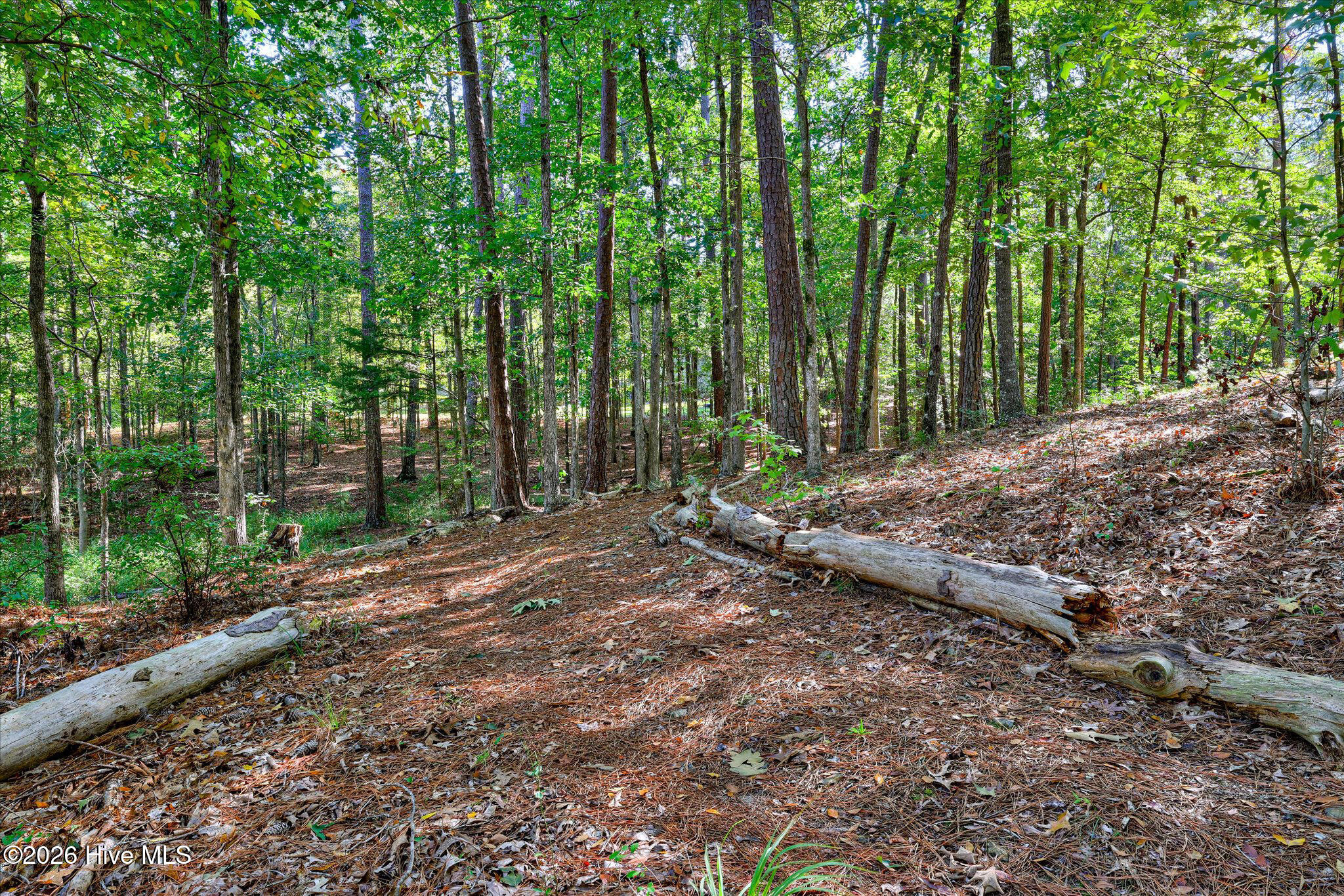 212 Pirates Cove Property Photo 77