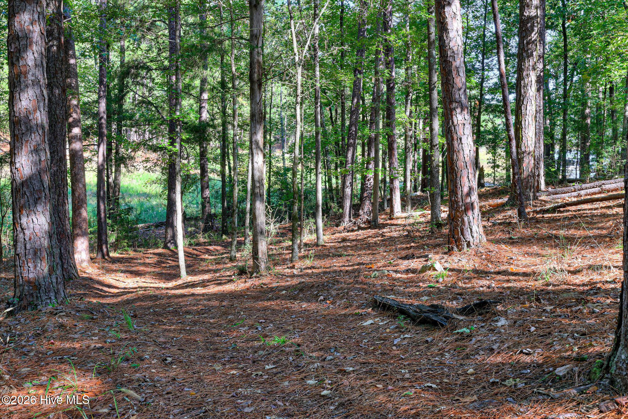 212 Pirates Cove Property Photo 79