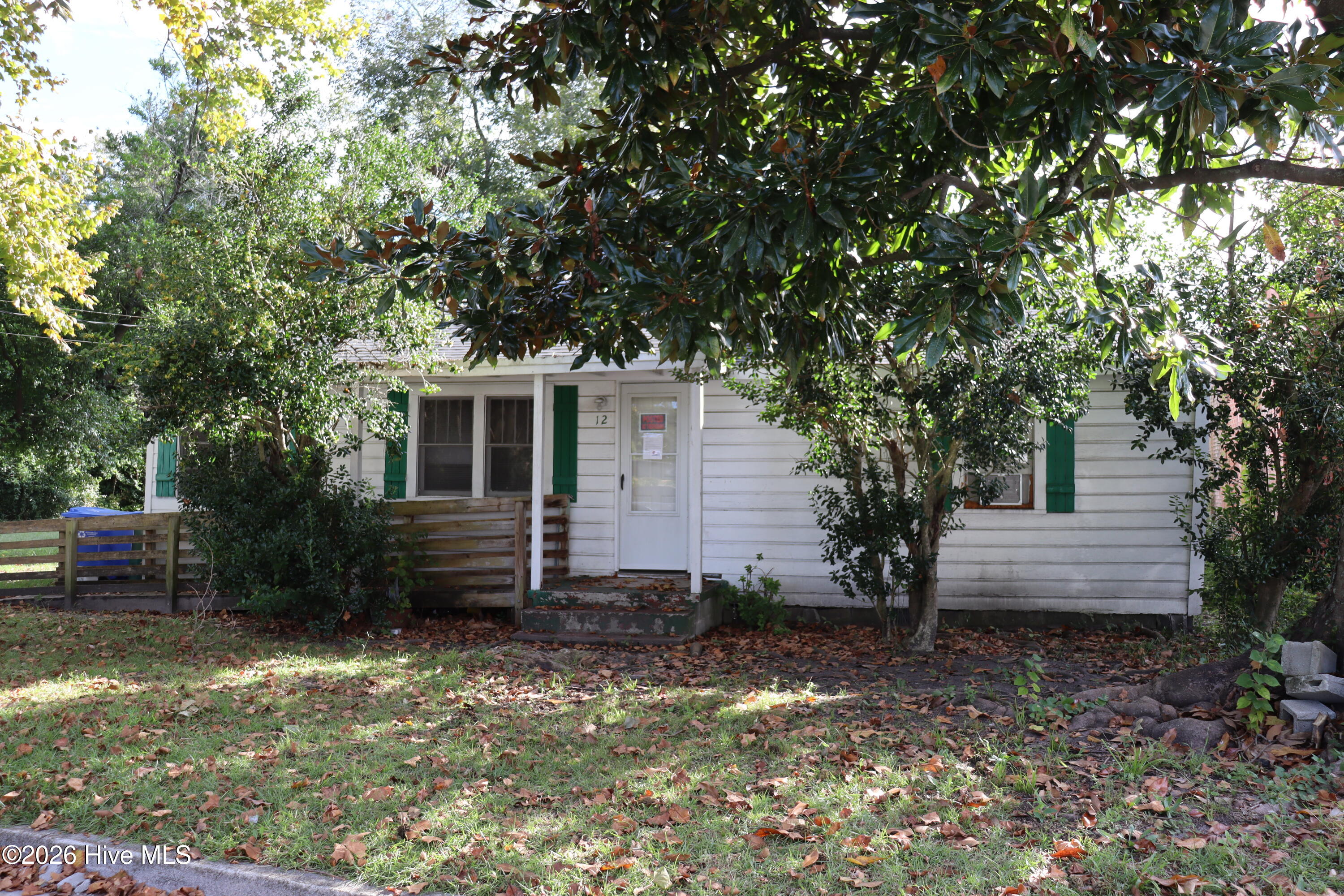 12 Evans Street Property Photo 5