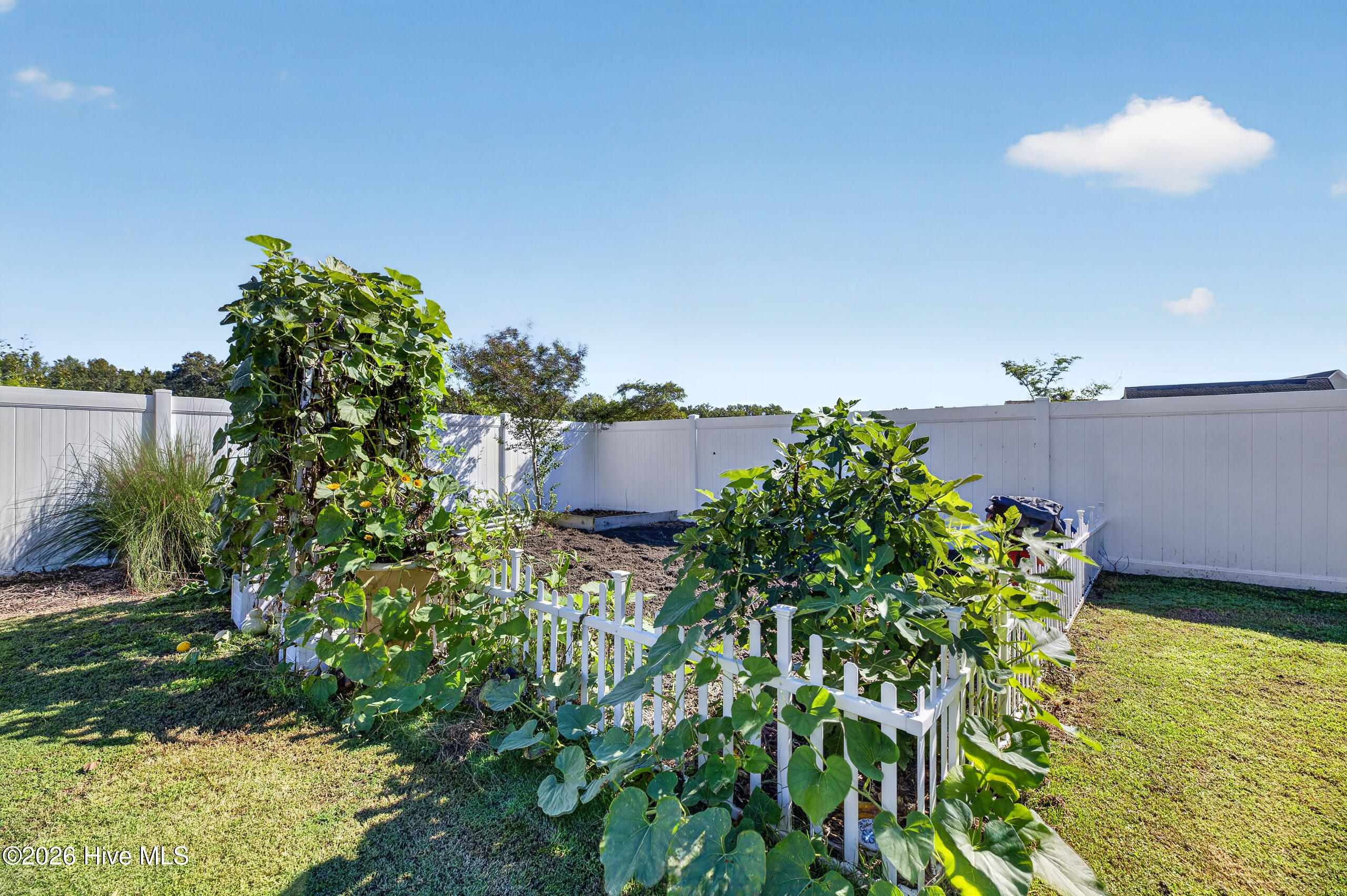 2323 Waverly Hill Drive Property Photo 62
