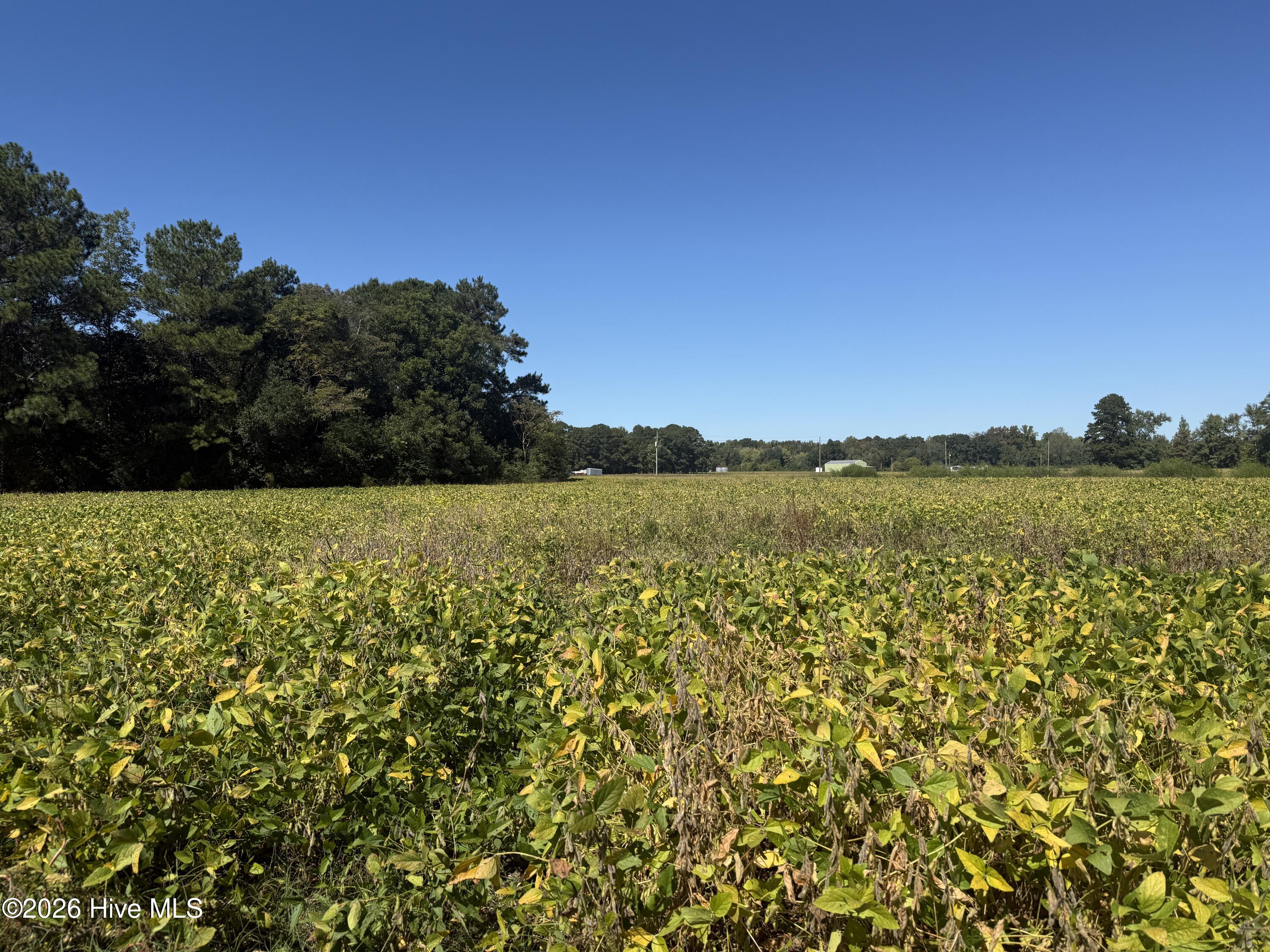 5160c Us-264 Property Photo 9