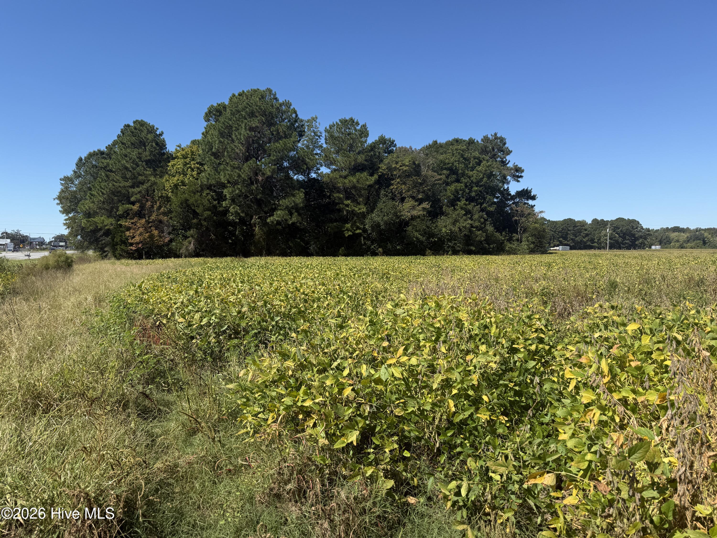 5160c Us-264 Property Photo 10