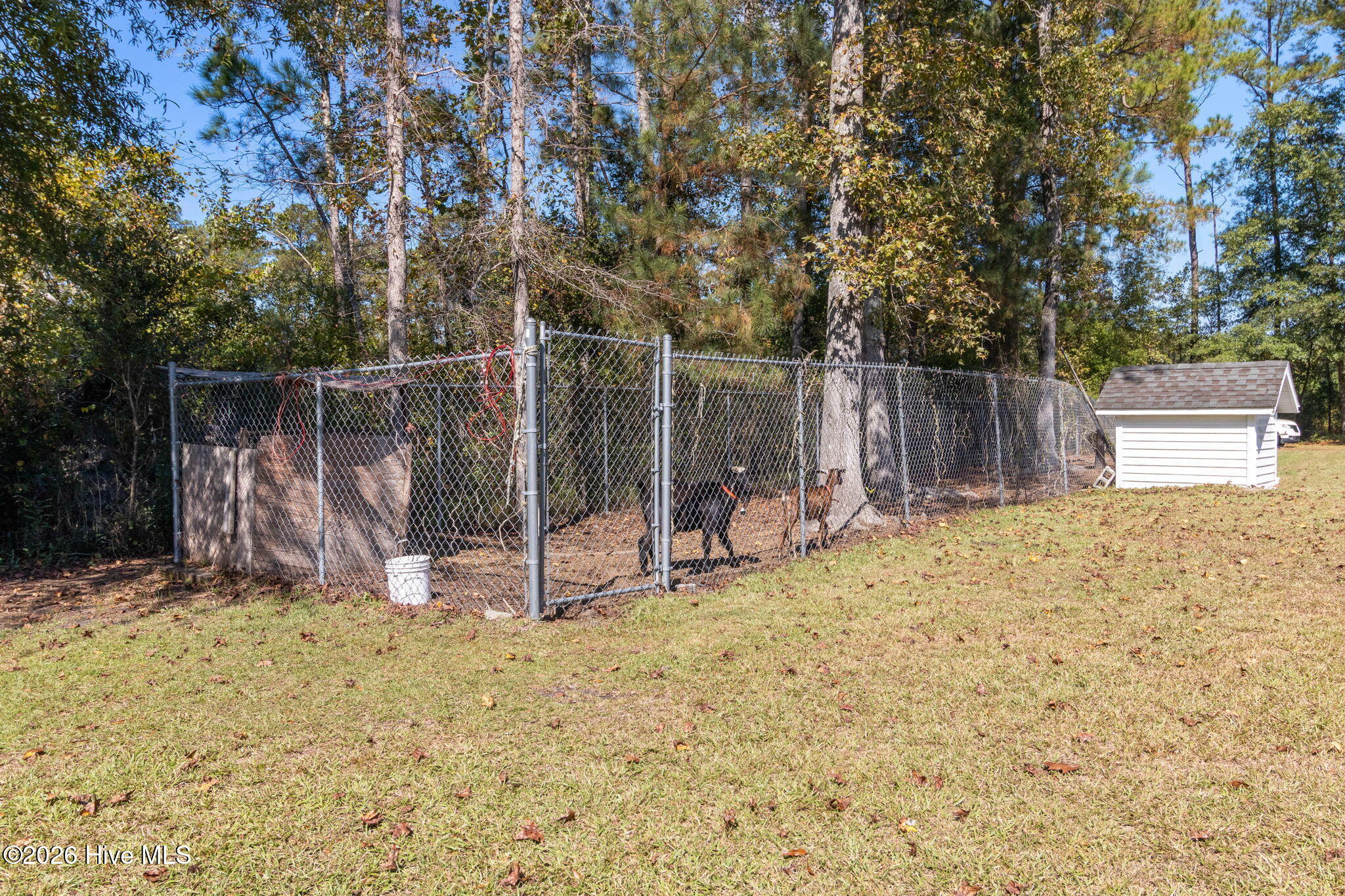 549 Sassafras Road Property Photo 46