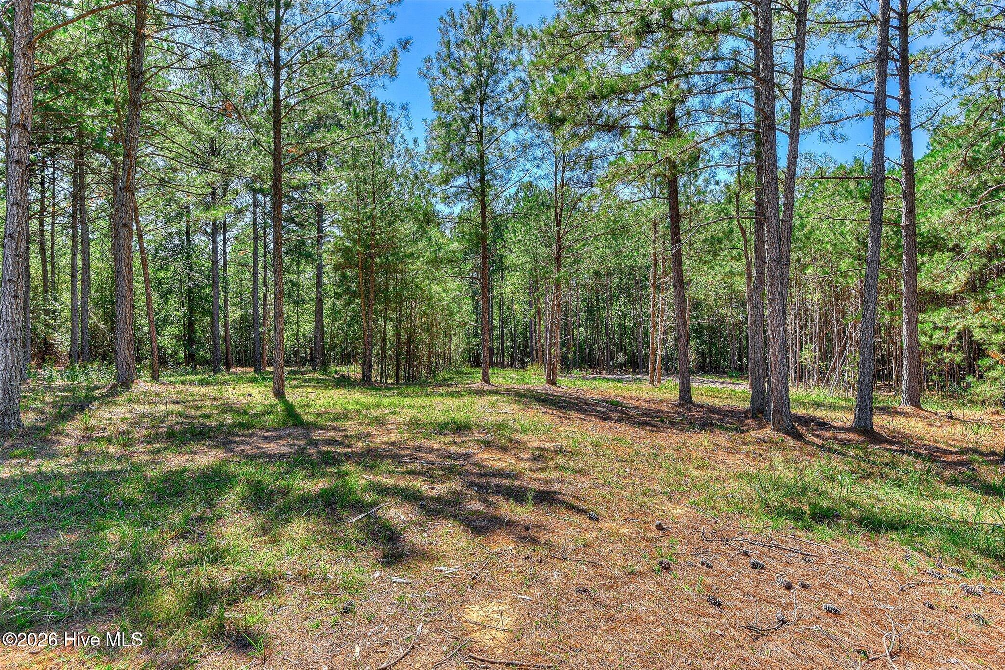 1192 Sunset Cove Property Photo 41