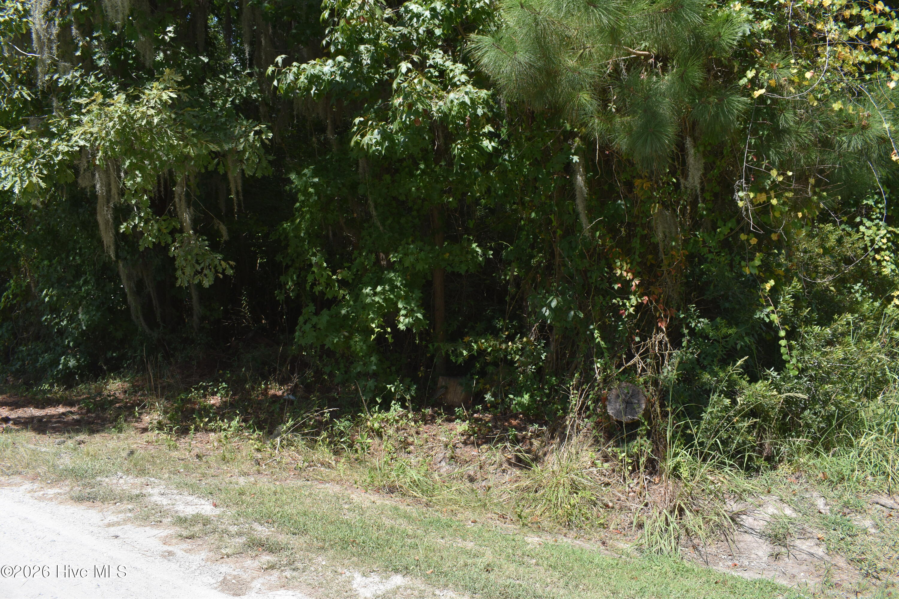 Lot 21 Cypress Drive Property Photo 1