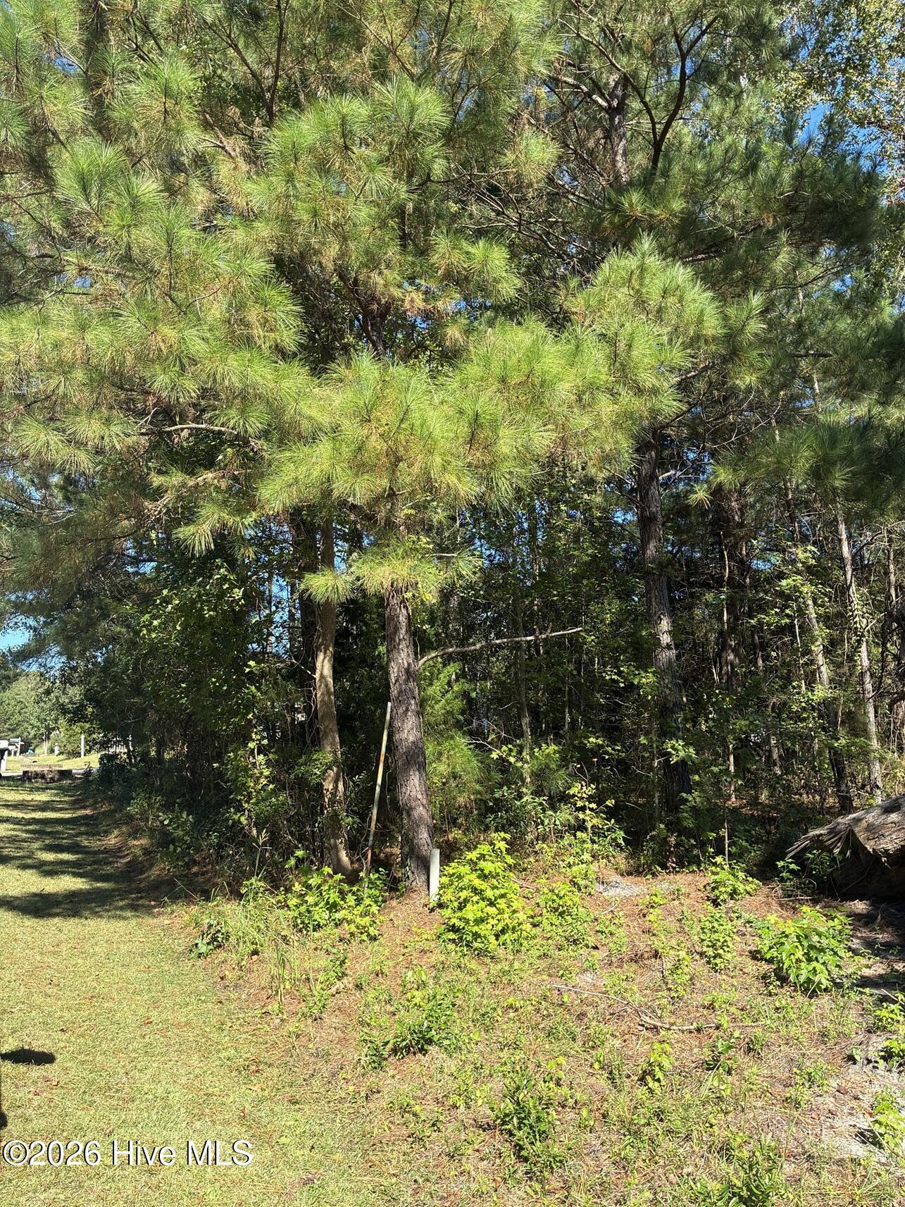 1275 L-20 Skipper Run Drive Sw Property Photo 2