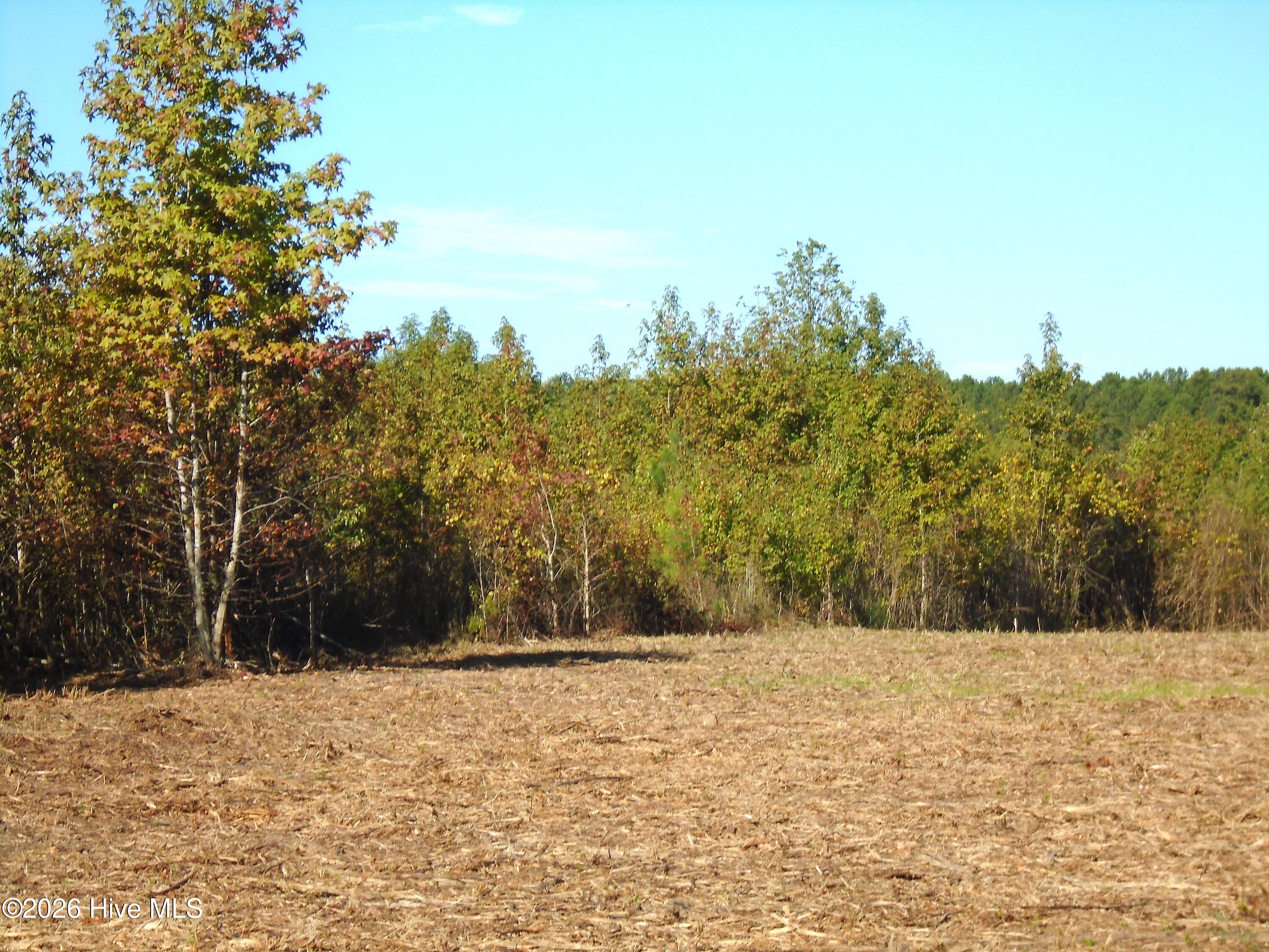 Tbd St John Street Property Photo 8