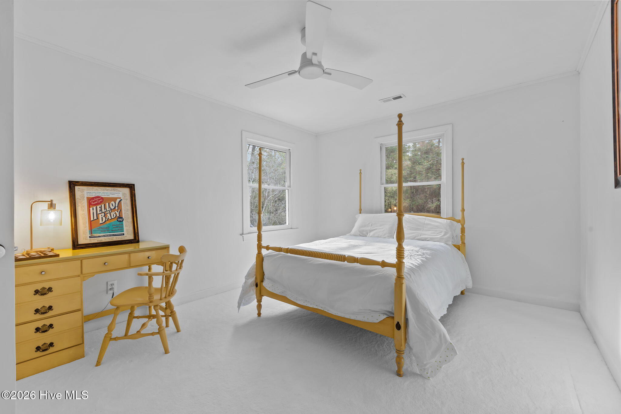 25 Mcleod Road Property Photo 32