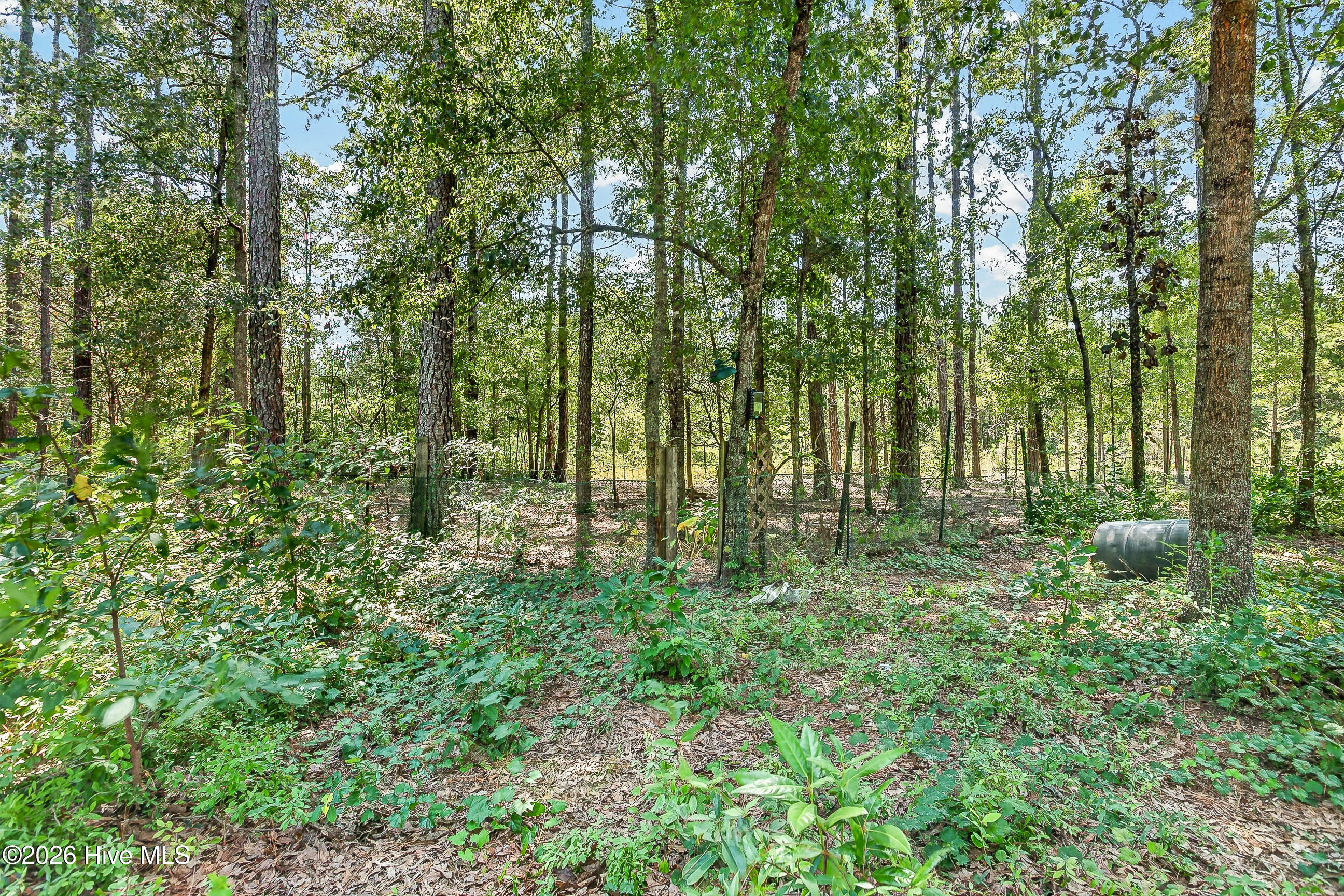 548 Carolina 306 Property Photo 41