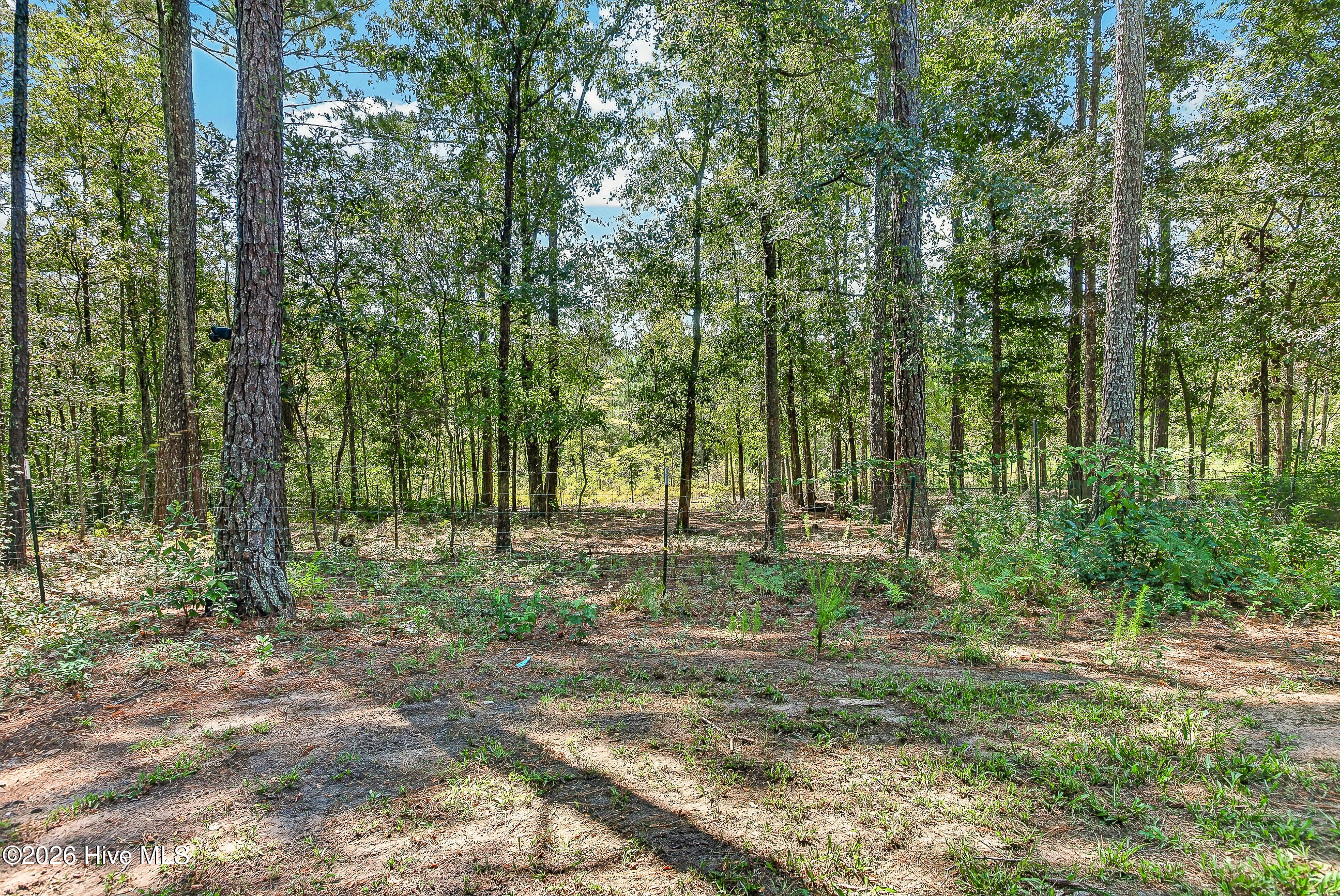 548 Carolina 306 Property Photo 42