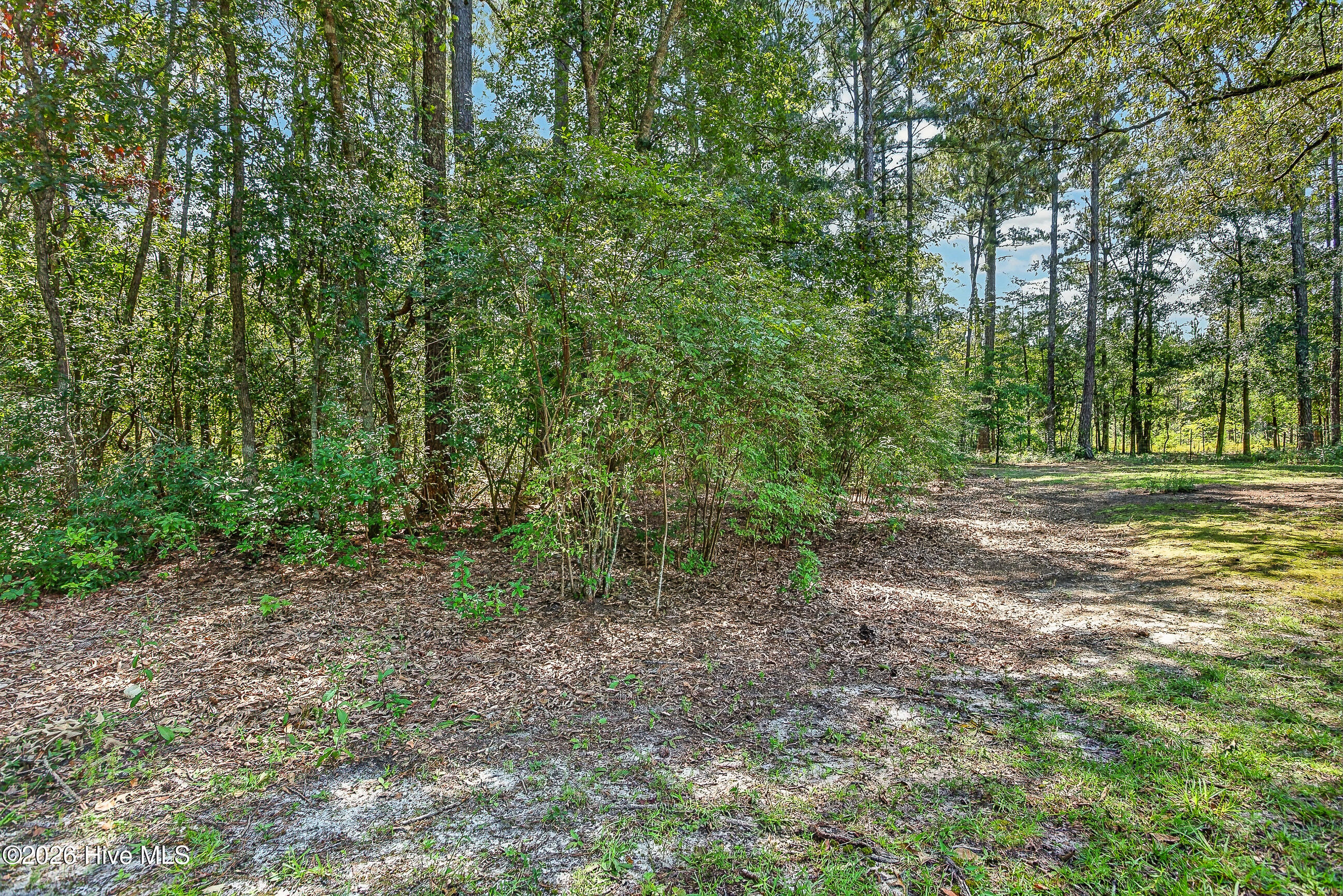 548 Carolina 306 Property Photo 43