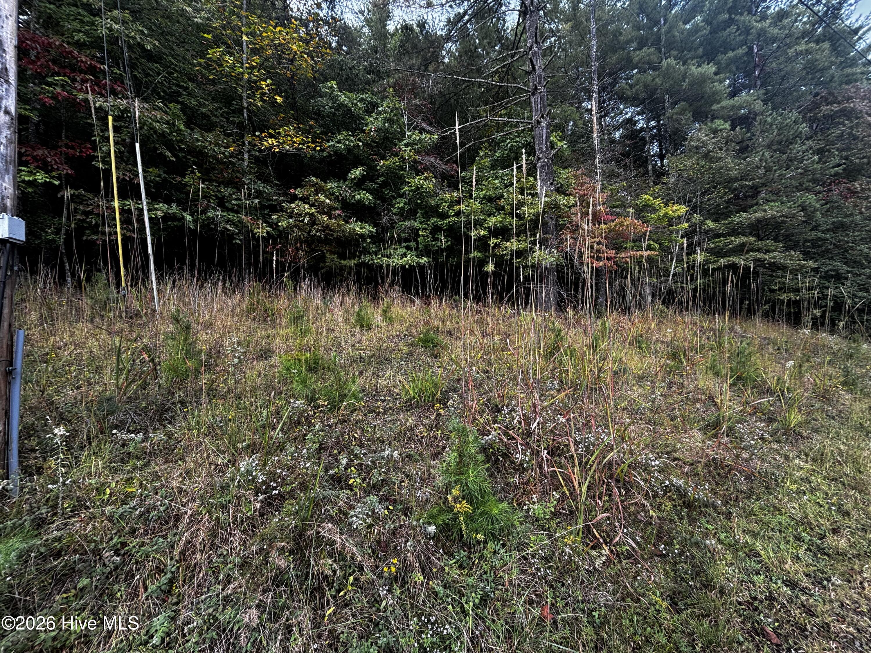 Lot 6 6 Joyce Road Property Photo 1