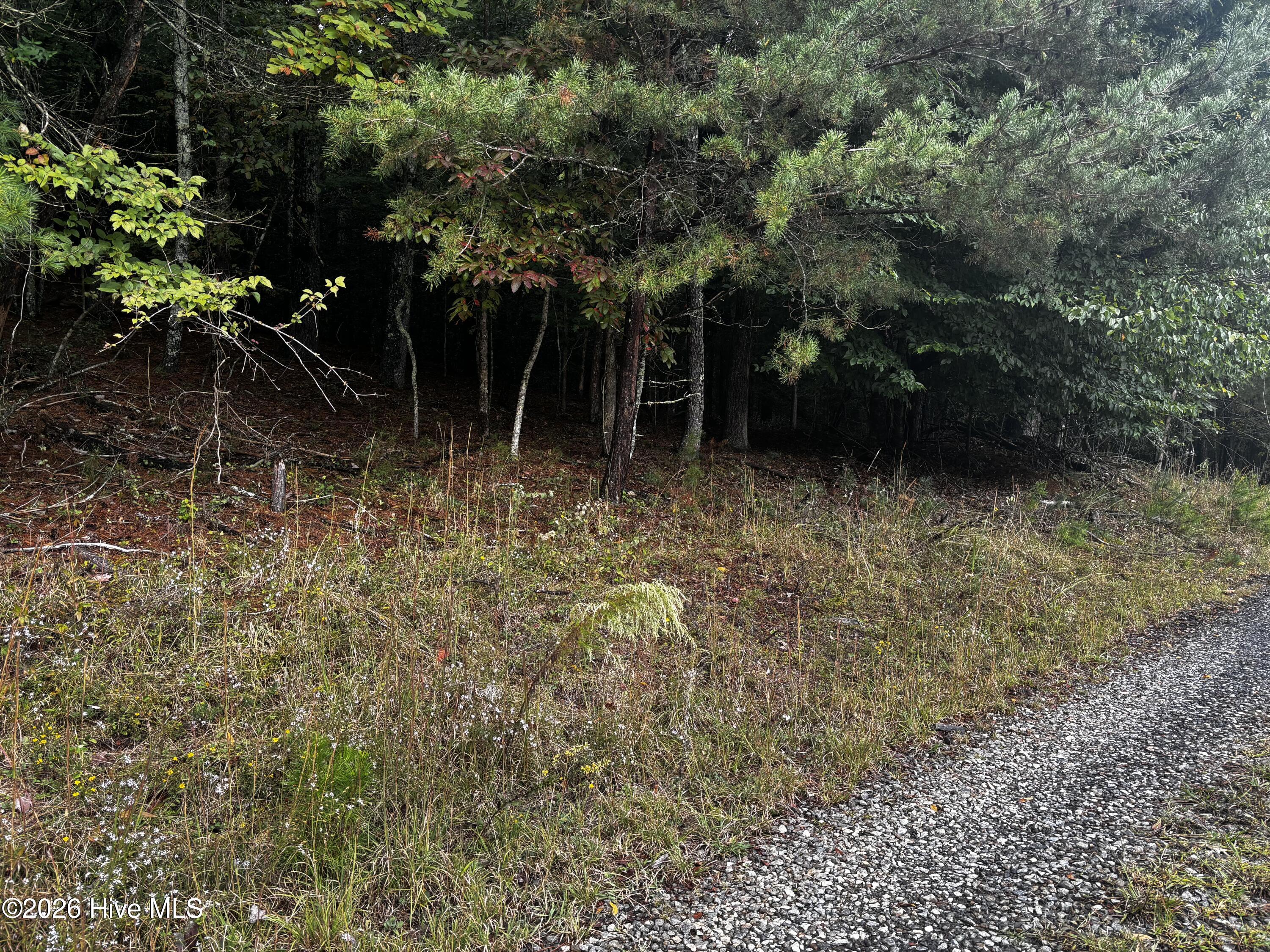 Lot 6 6 Joyce Road Property Photo 2