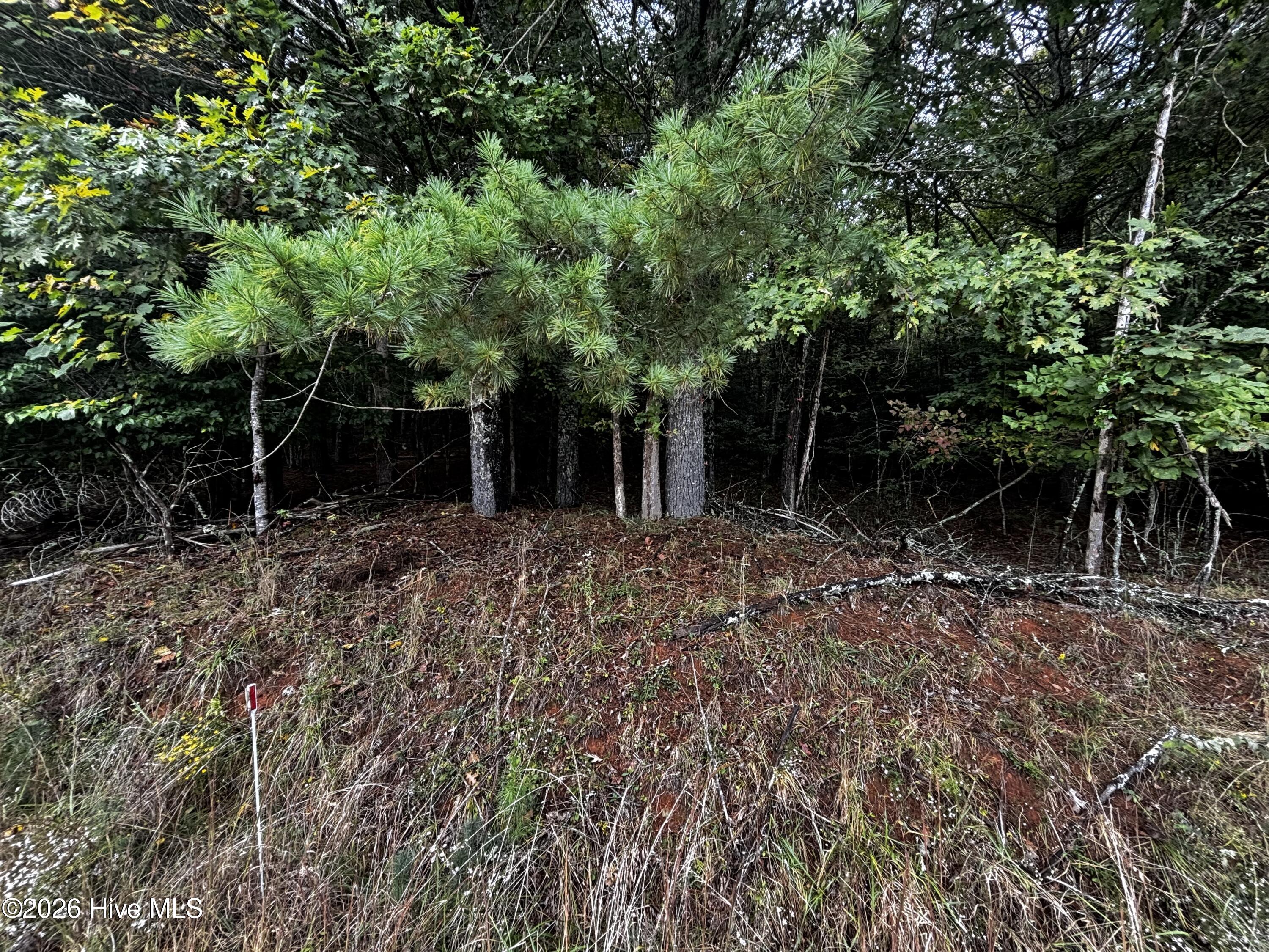 Lot 6 6 Joyce Road Property Photo 3
