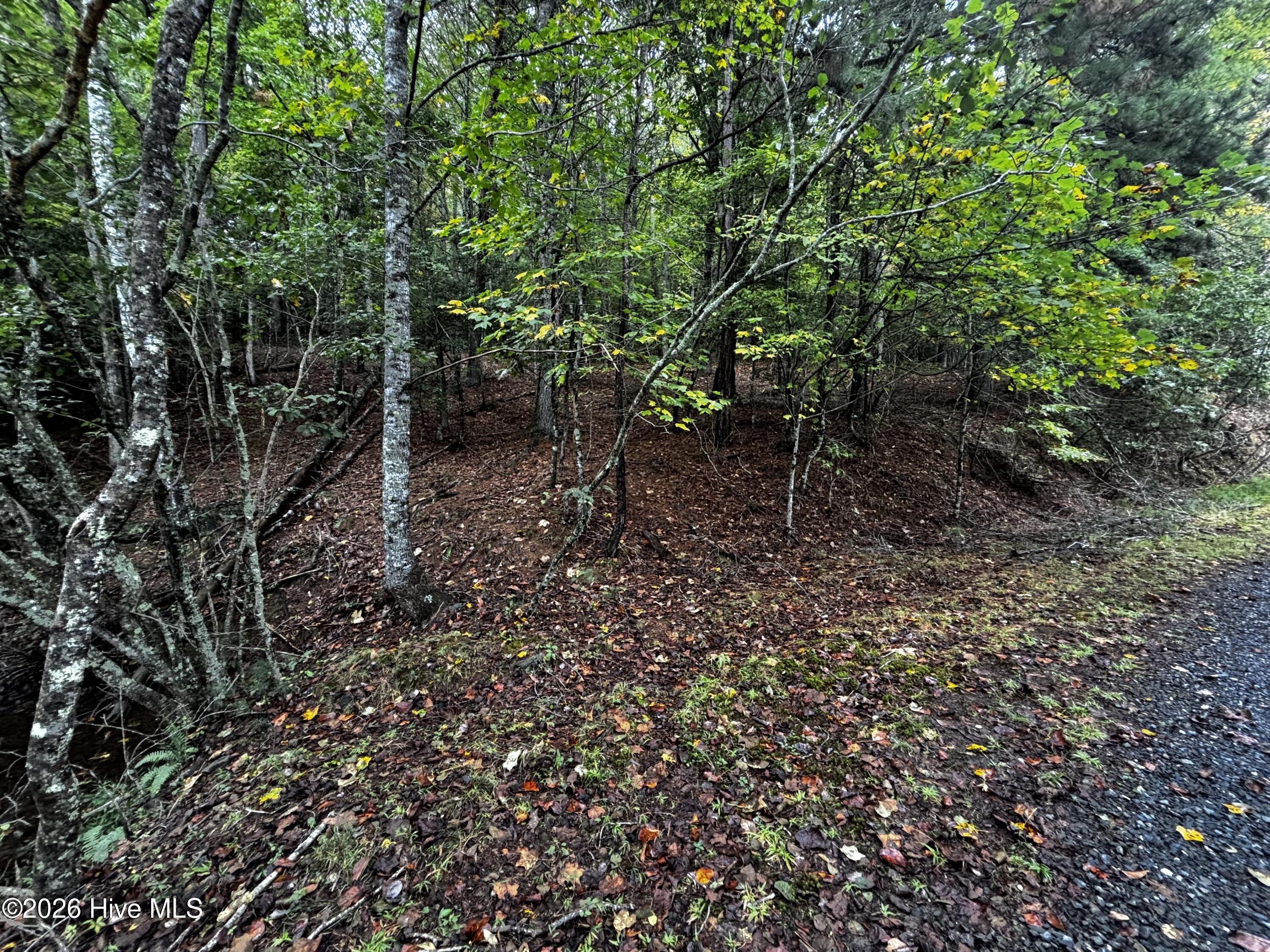 Lot 6 6 Joyce Road Property Photo 5