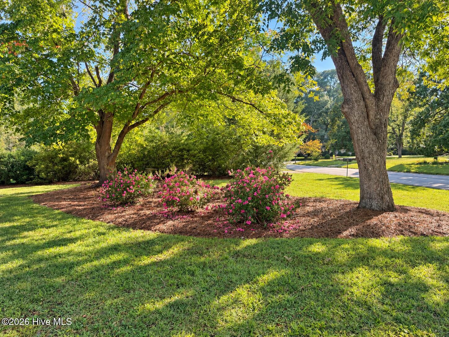 306 Pecan Lane Property Photo 3
