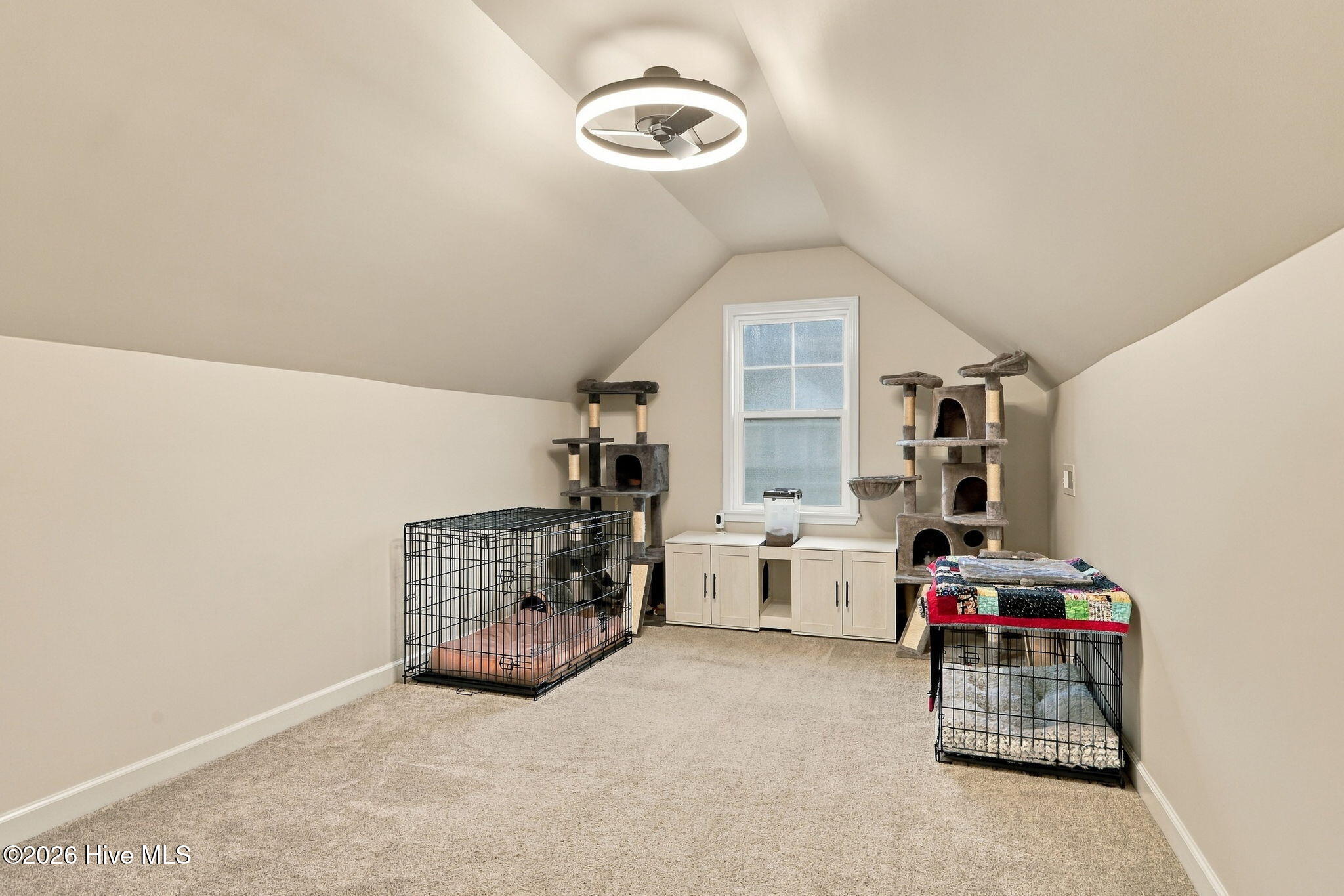 822 Cooke Drive Property Photo 34