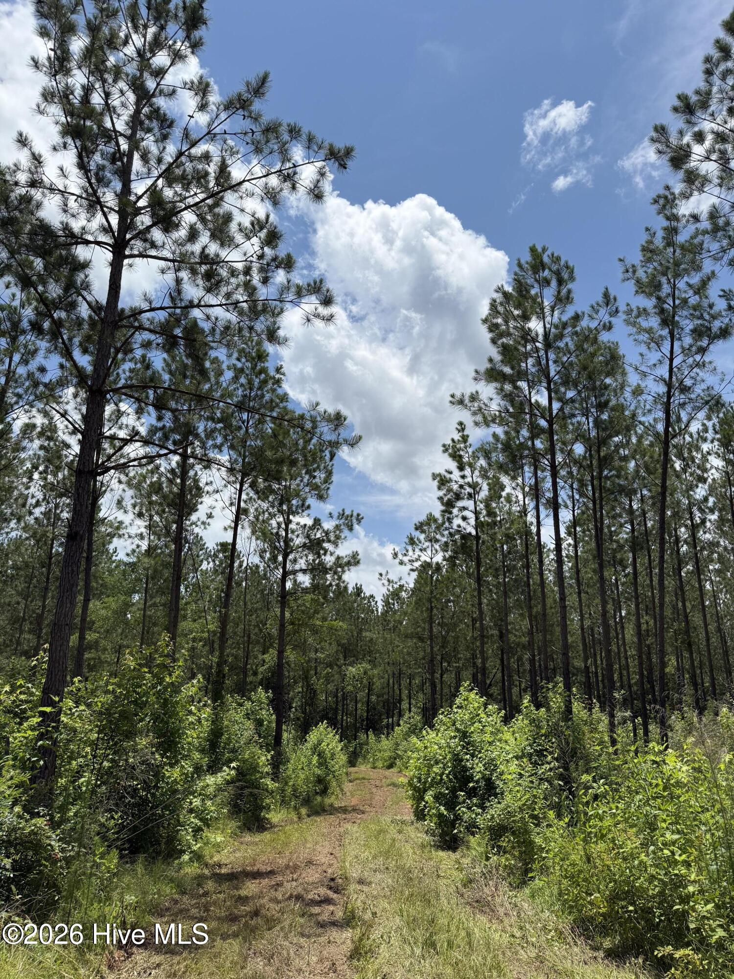 Lot 3 3 Christian Rd Property Photo 7