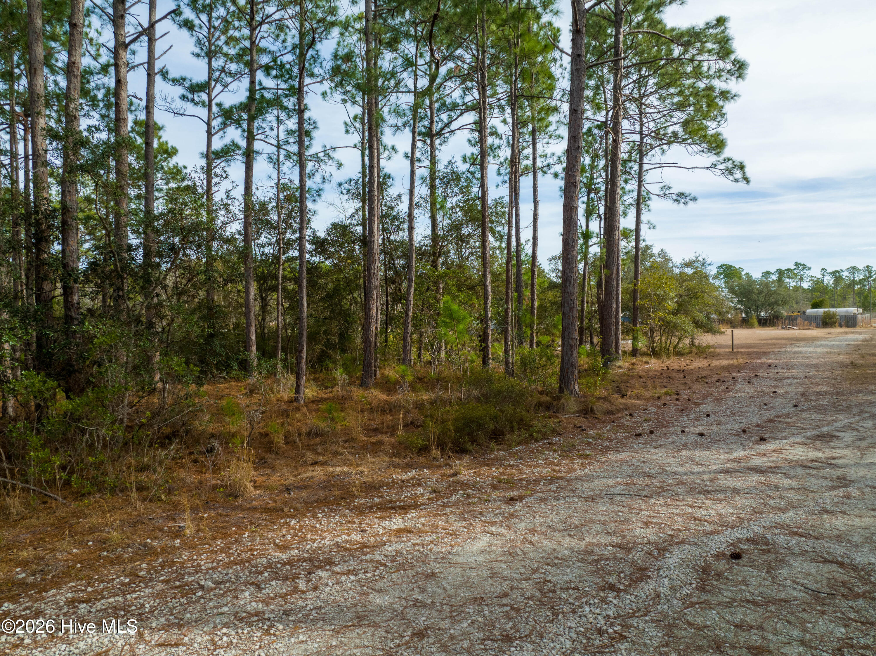 Tbd Double Oaks Drive Property Photo 7