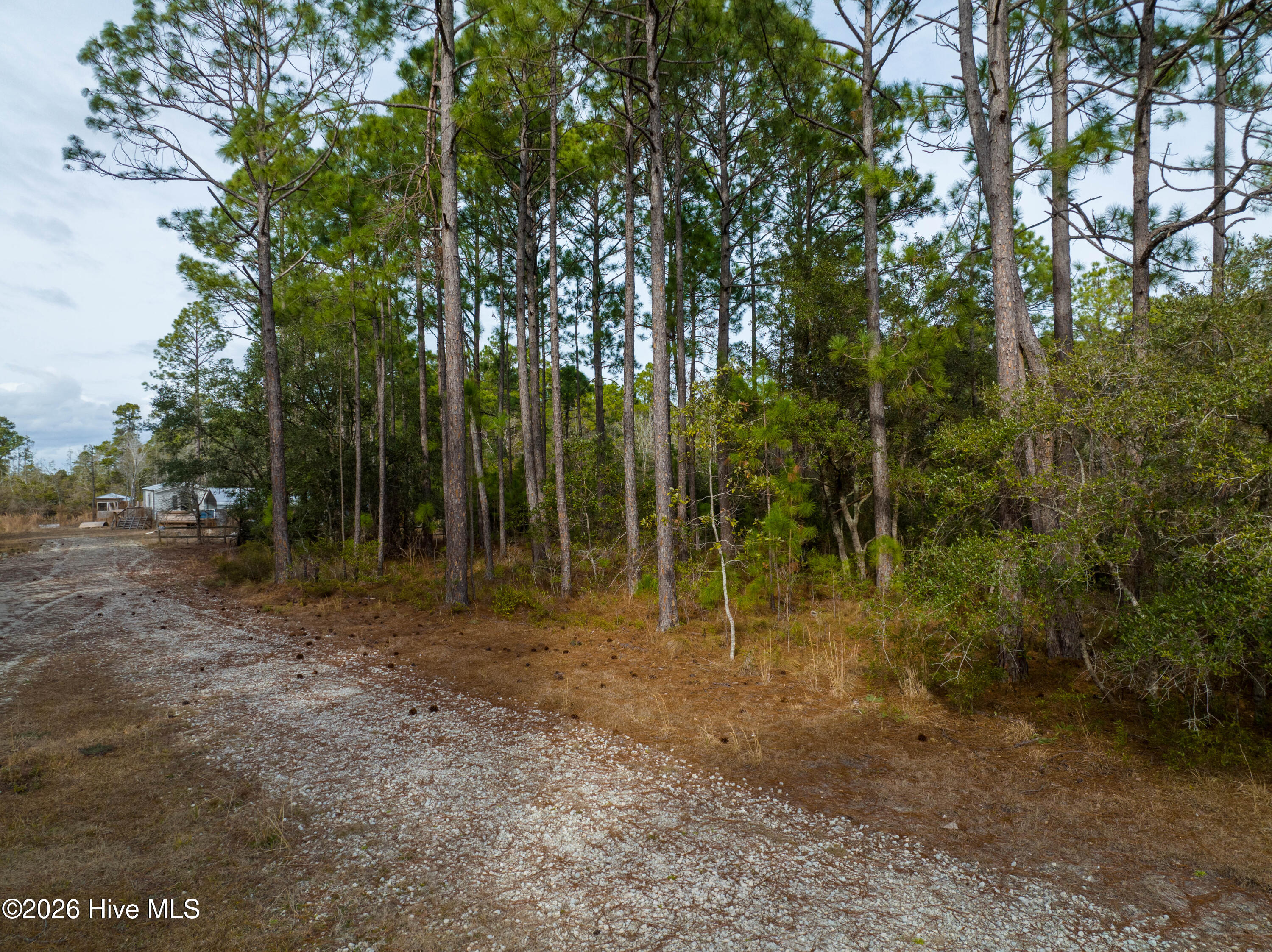 Tbd Double Oaks Drive Property Photo 8
