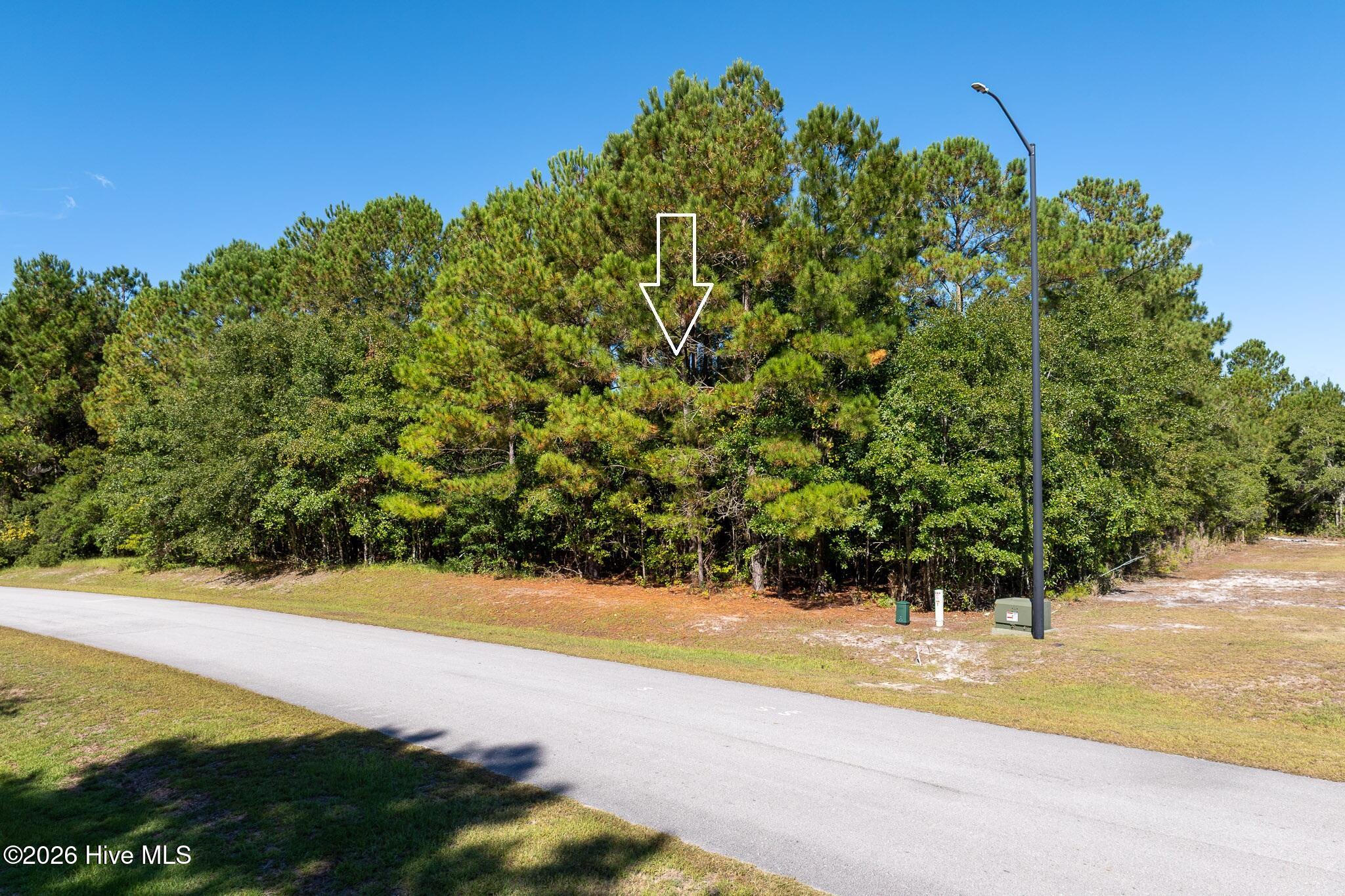 145 31 Royal Palms Way Property Photo 2