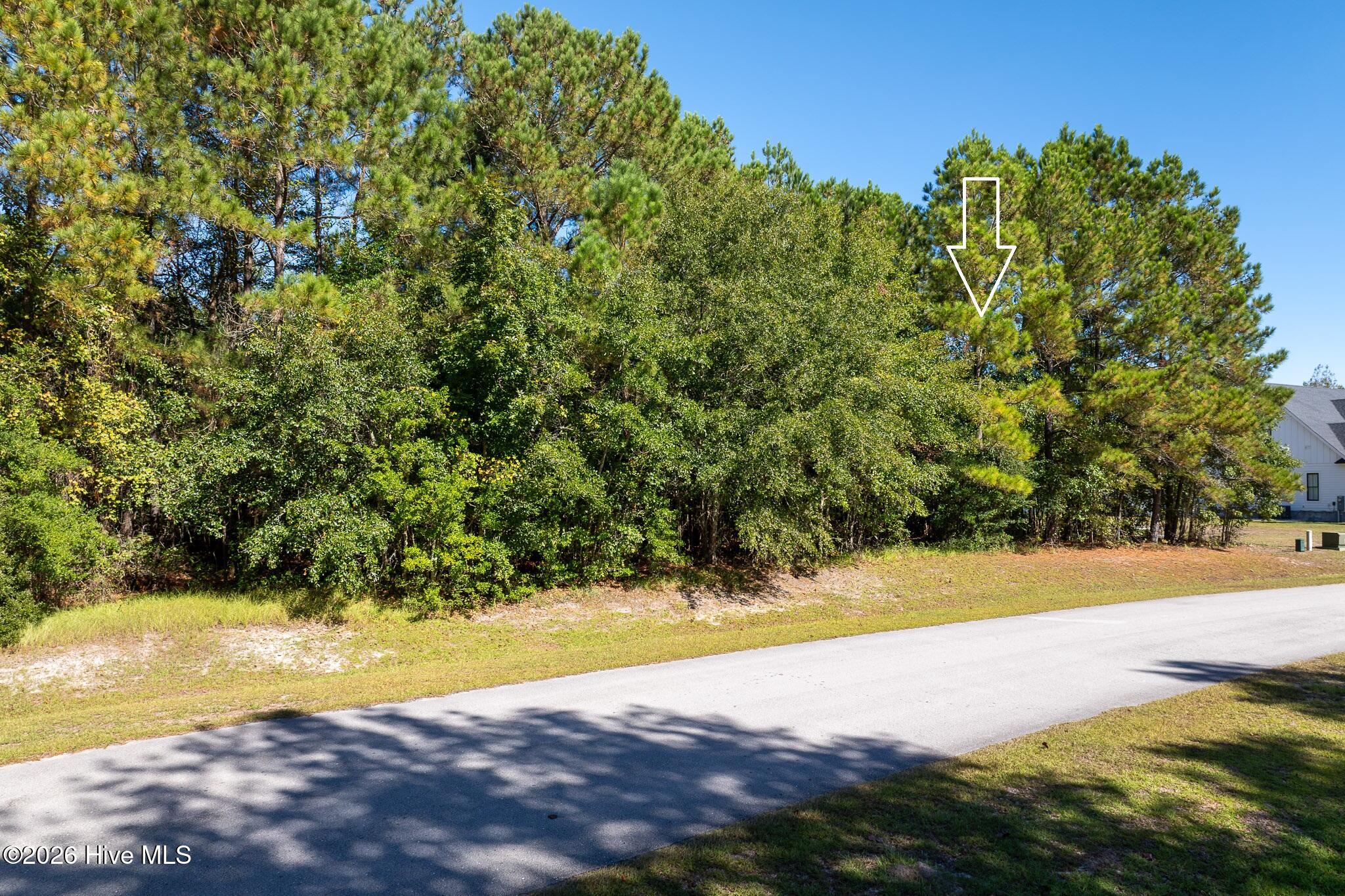 145 31 Royal Palms Way Property Photo 3