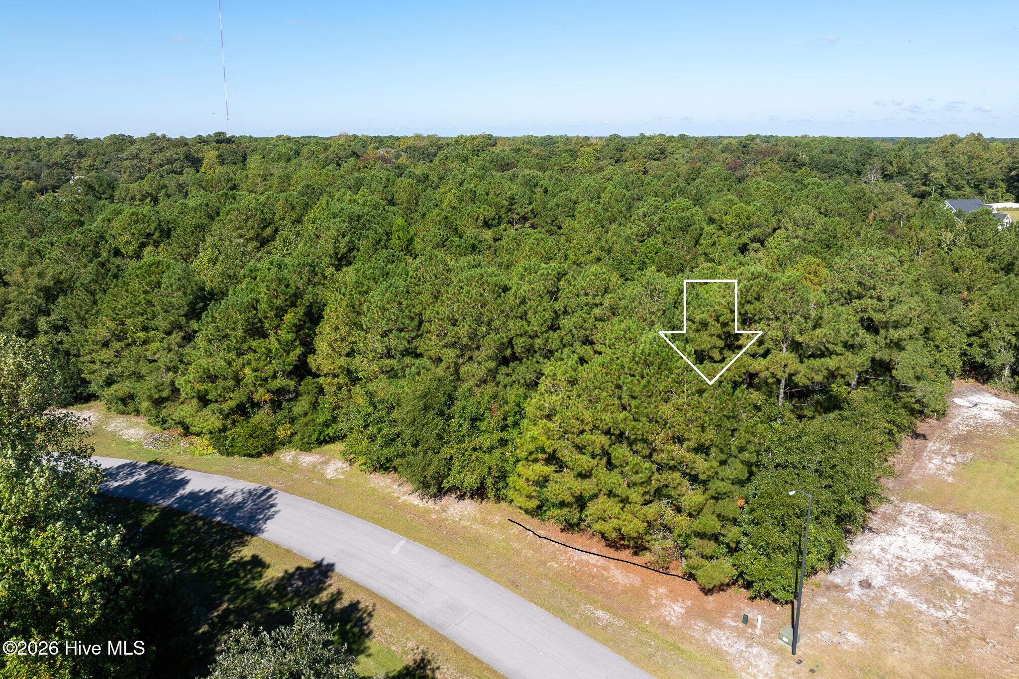 145 31 Royal Palms Way Property Photo 4