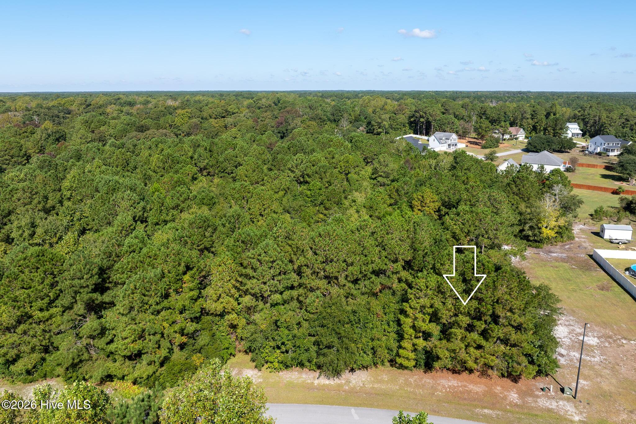 145 31 Royal Palms Way Property Photo 8