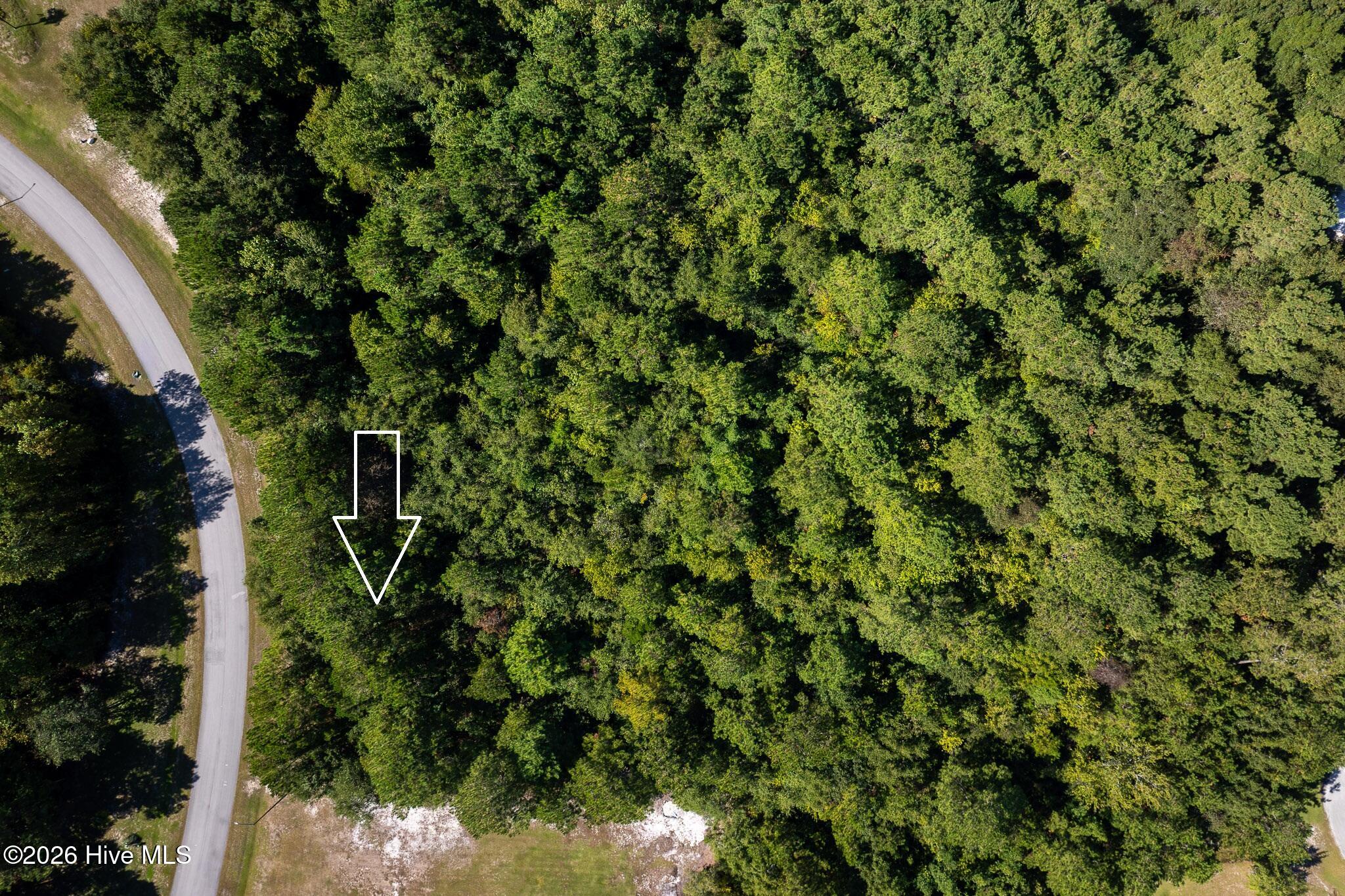 145 31 Royal Palms Way Property Photo 11