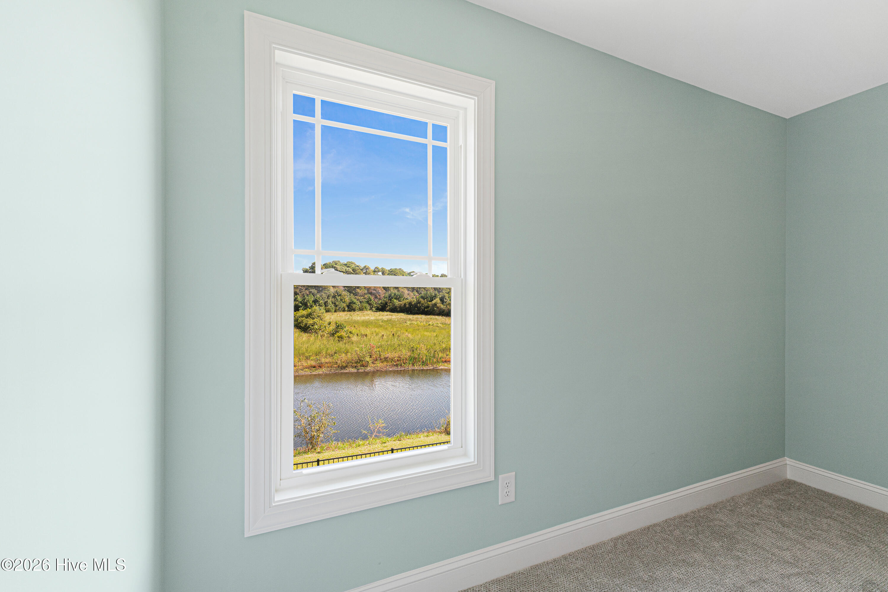 202 Windswept Lane Property Photo 29