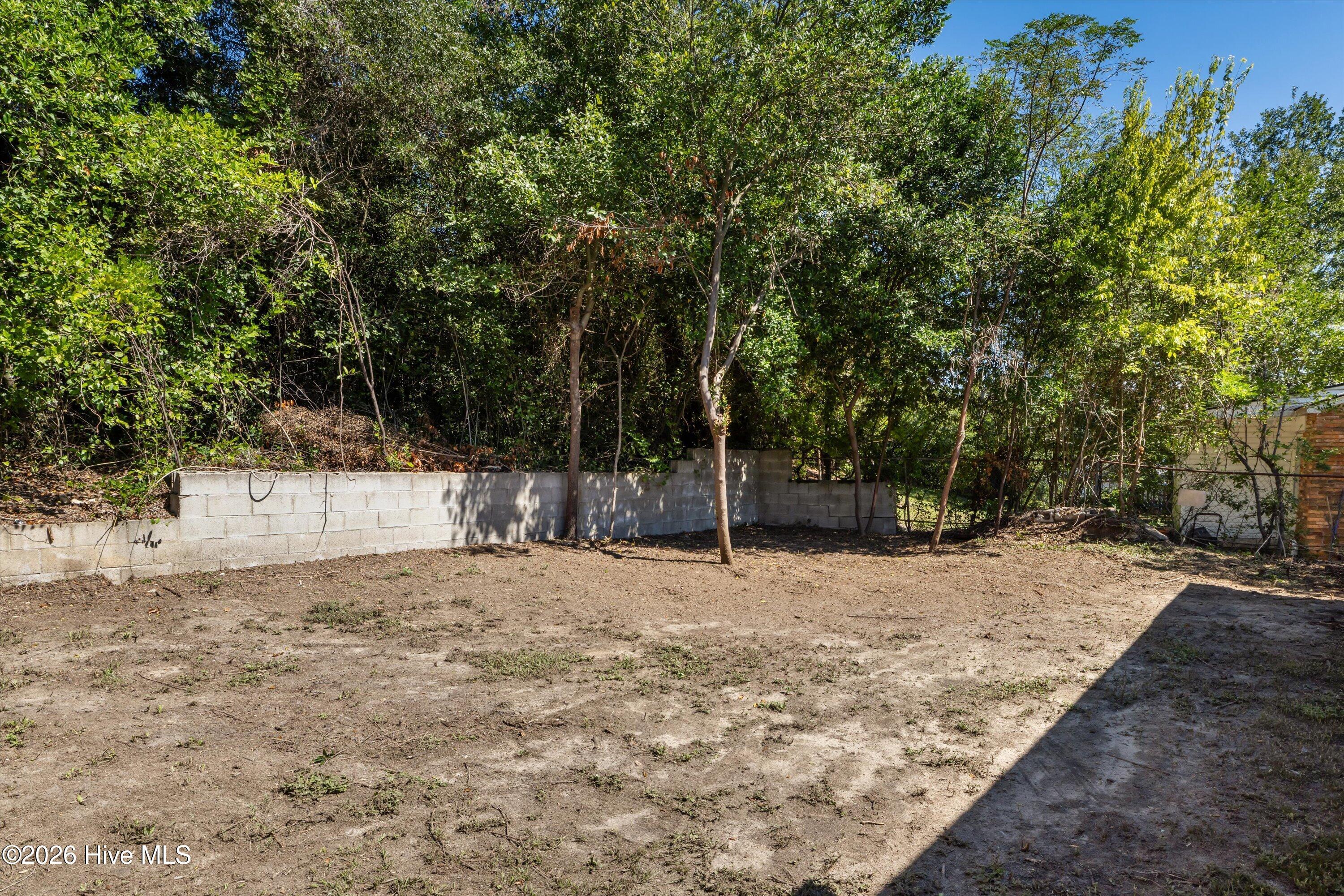 2429 Young Drive Property Photo 36