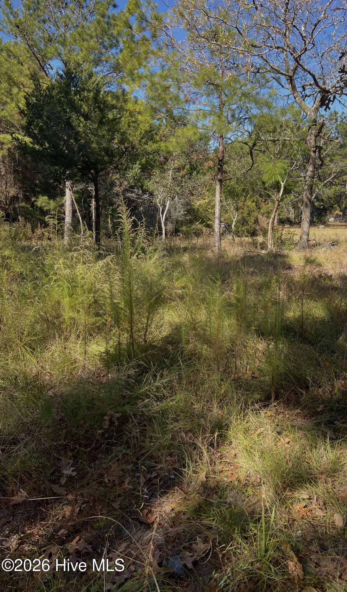 1072 19 River Drive Sw Property Photo 1