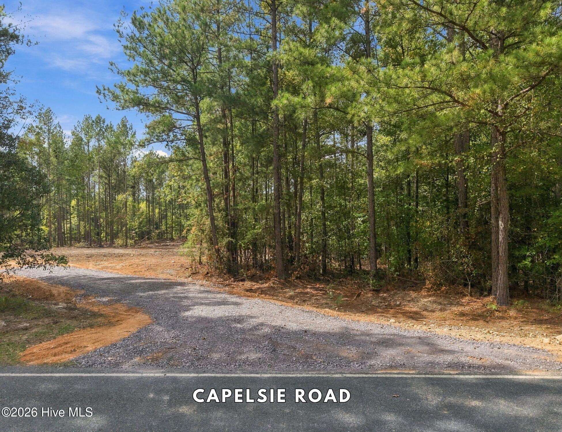 Lot 1 Capelsie Road Property Photo 5