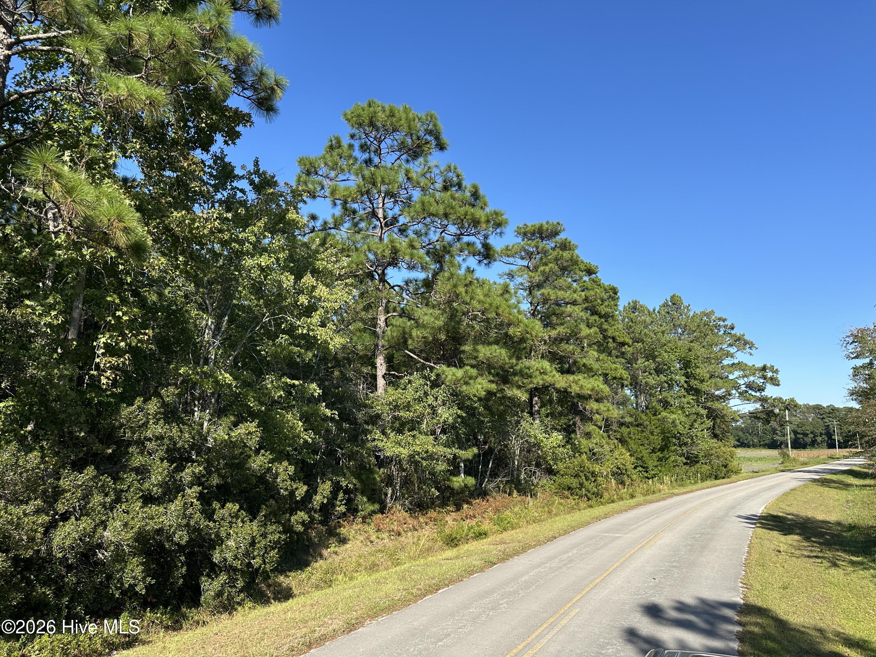 000 Willis Farm Tract-2 Road Property Photo 4