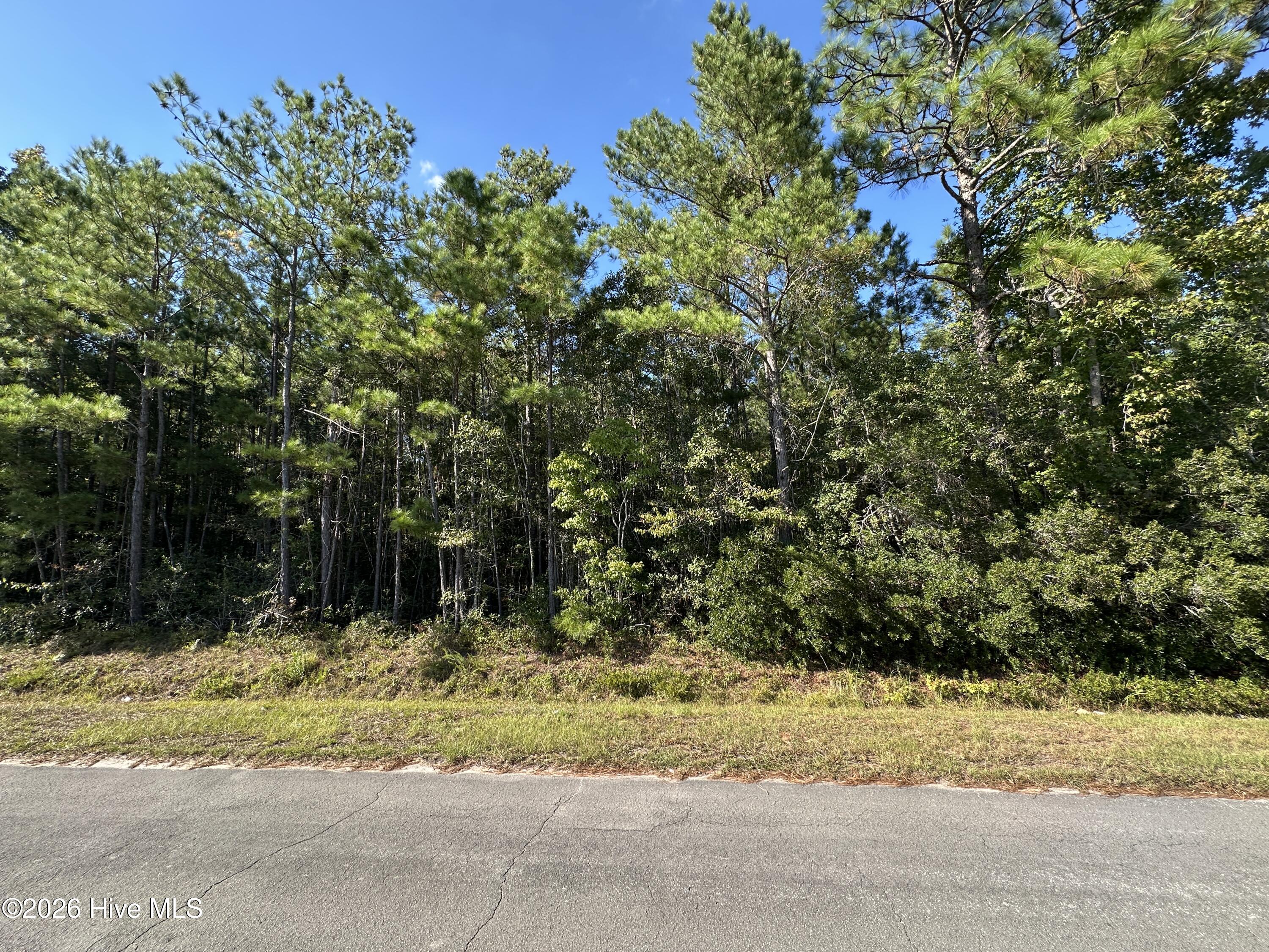 000 Willis Farm Tract-2 Road Property Photo 9