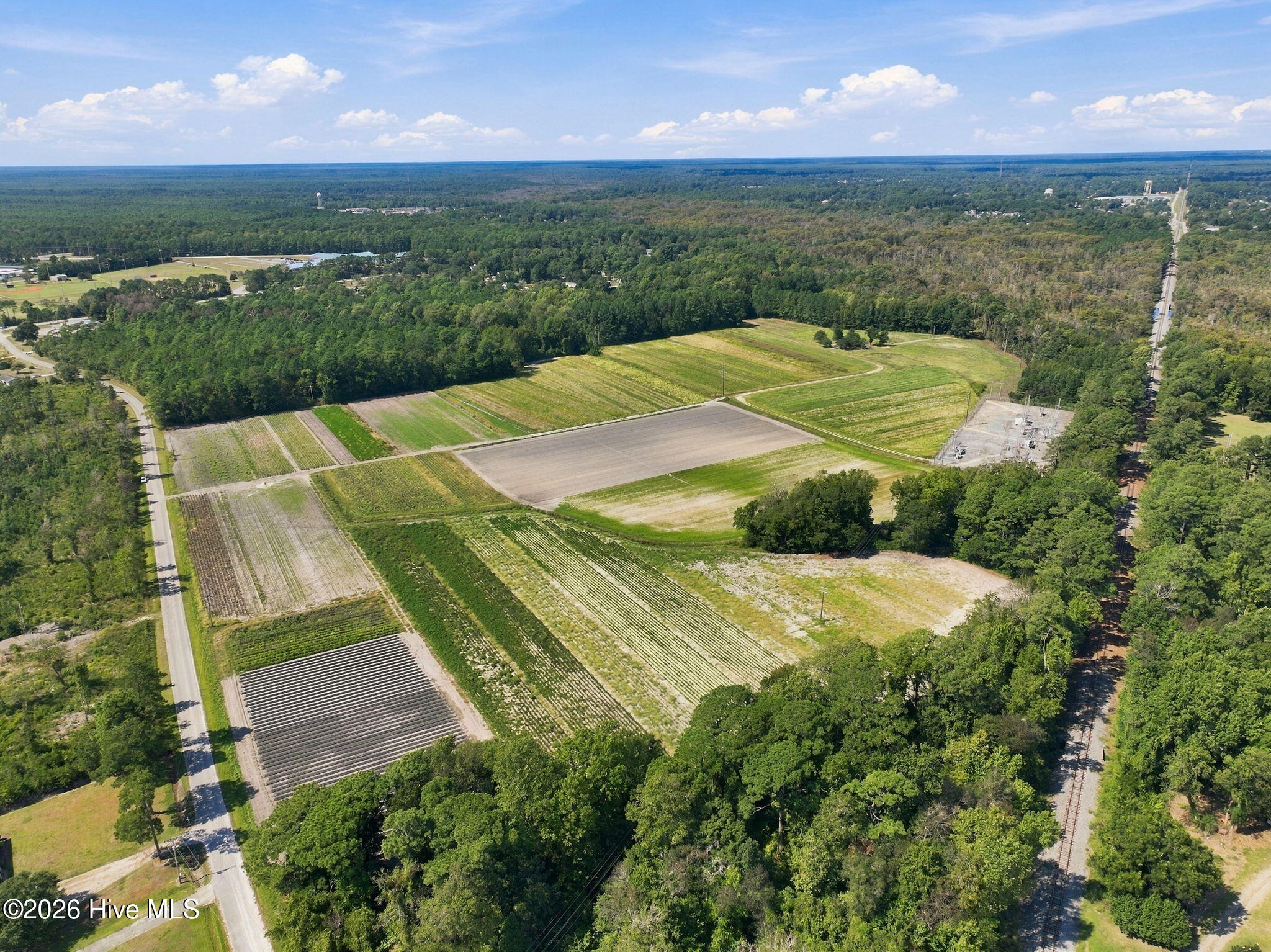 000 Willis Farm Tract-2 Road Property Photo 12
