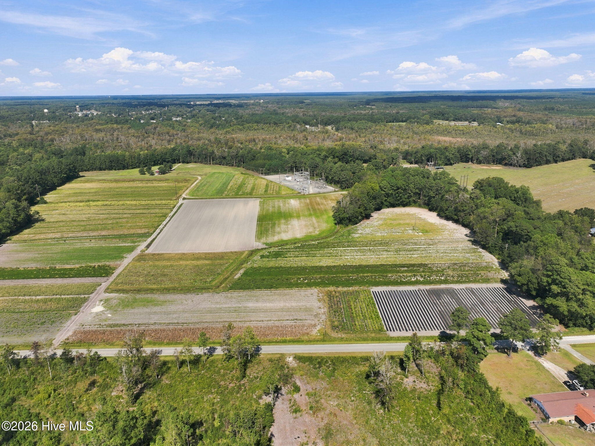 000 Willis Farm Tract-3 Road Property Photo 5