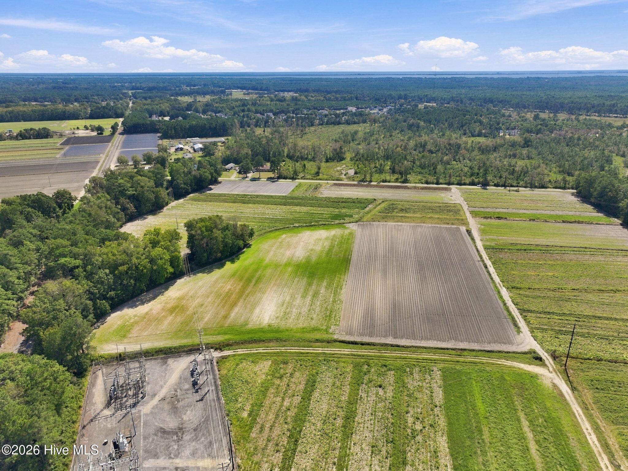 000 Willis Farm Tract-3 Road Property Photo 7