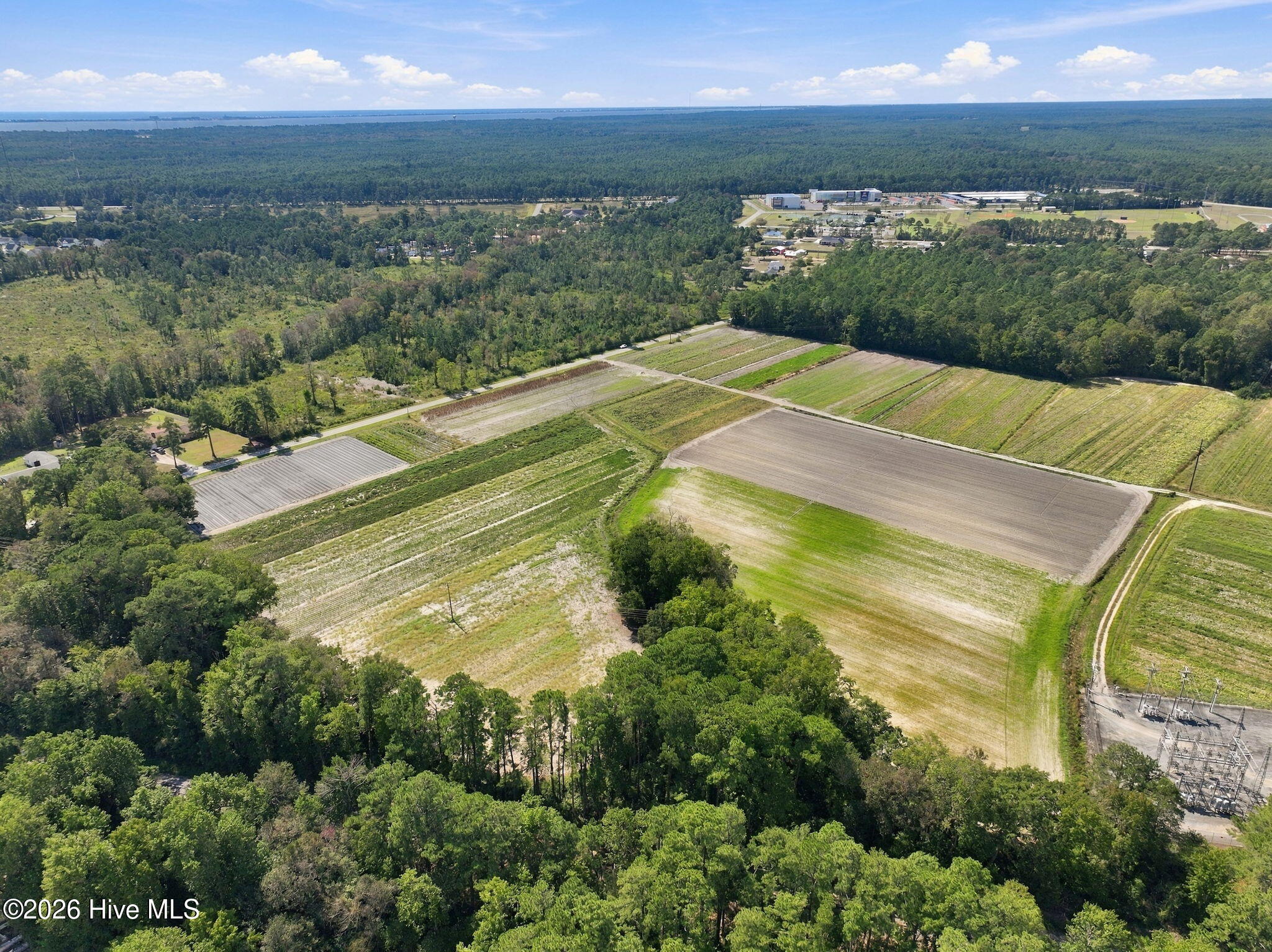 000 Willis Farm Tract-3 Road Property Photo 11