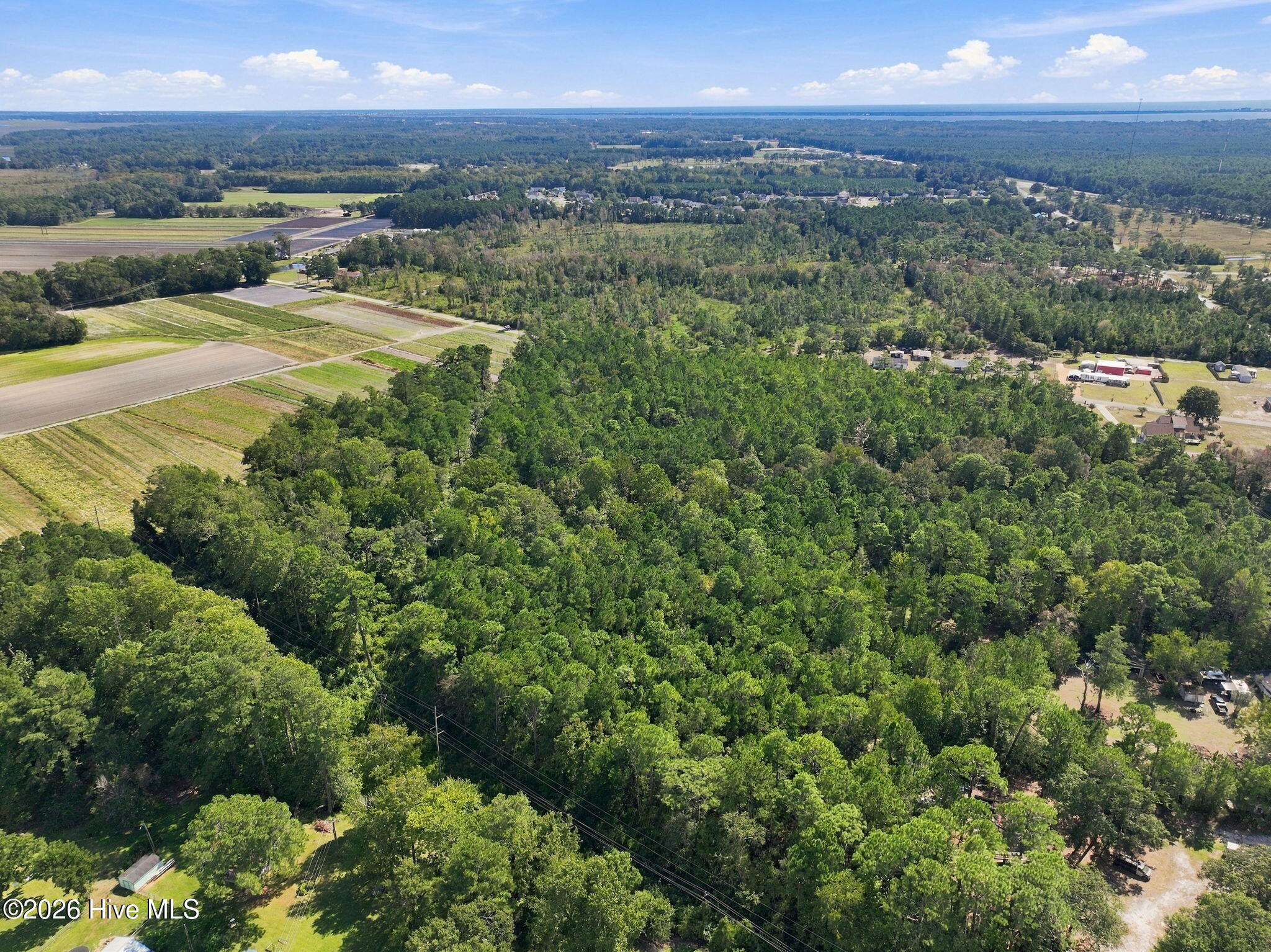 000 Willis Farm Tract-3 Road Property Photo 15