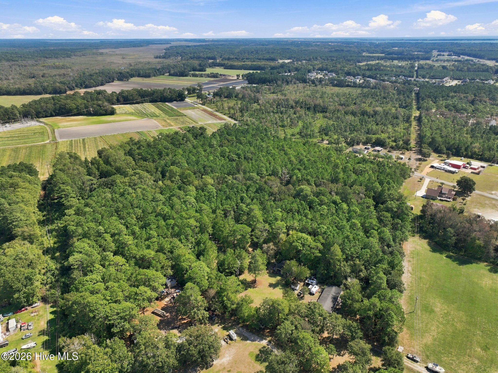 000 Willis Farm Tract-3 Road Property Photo 16