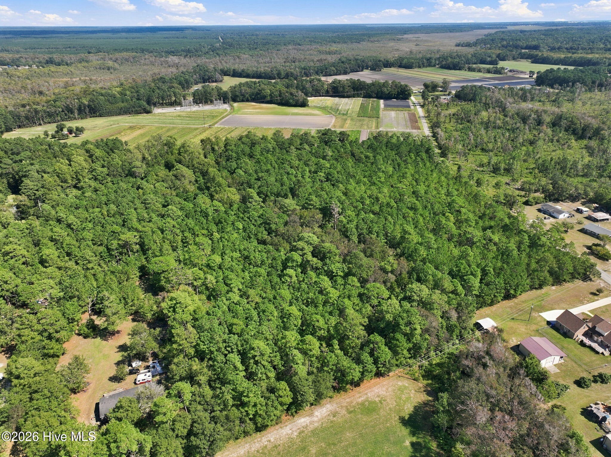 000 Willis Farm Tract-3 Road Property Photo 18