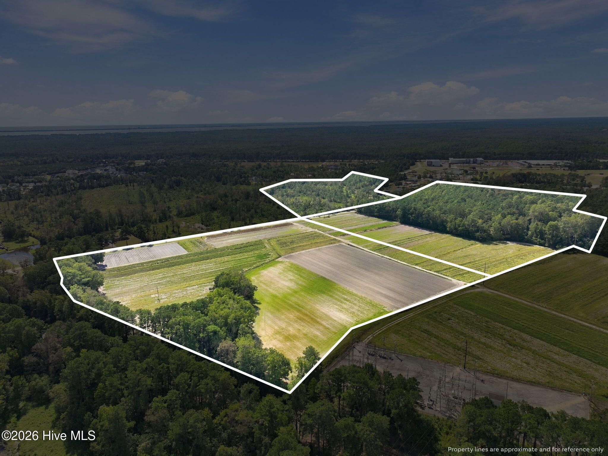 000 Willis Farm Tract-3 Road Property Photo 21