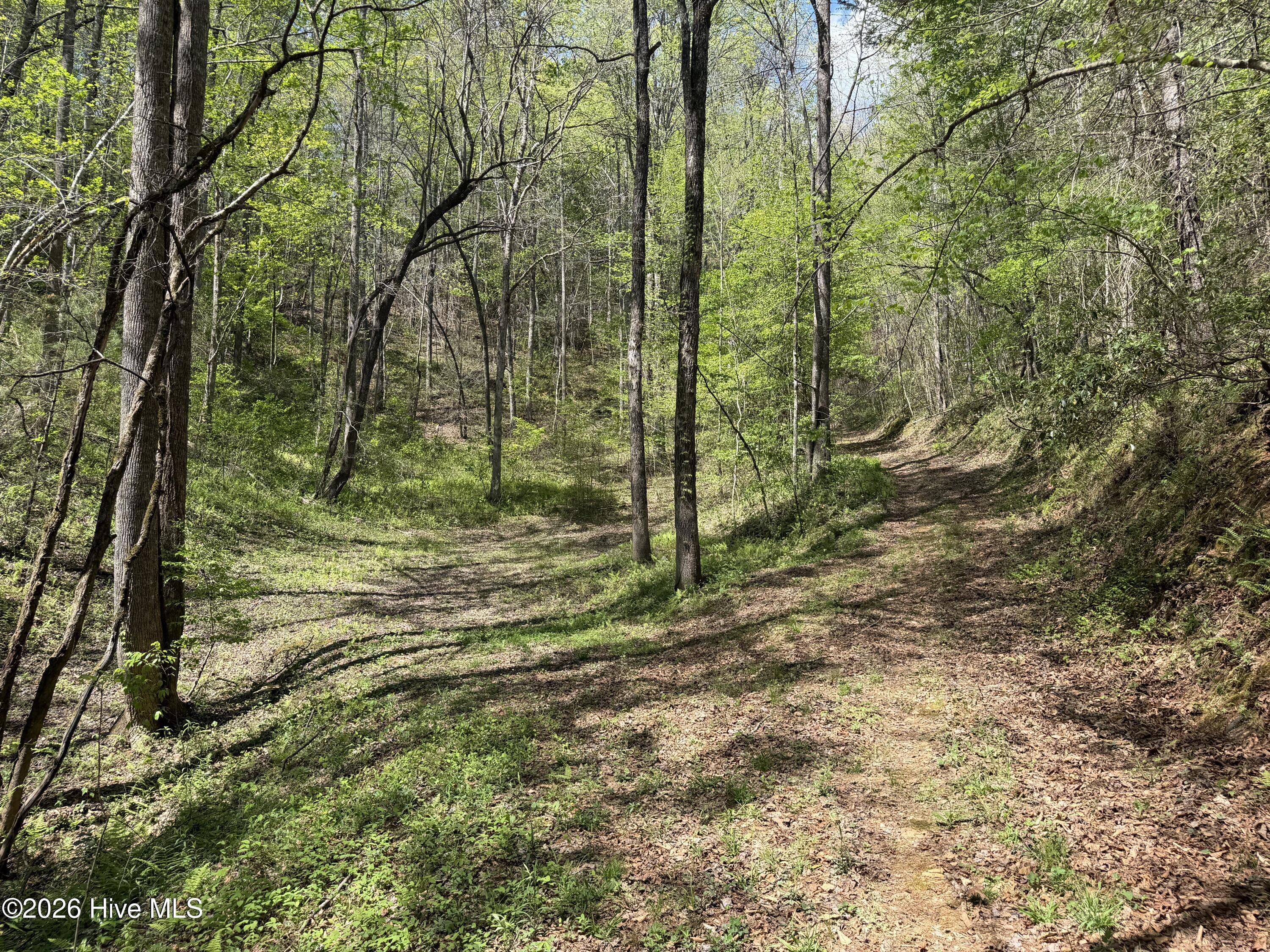 17.96 Lower Vengeance Creek Road Property Photo 1