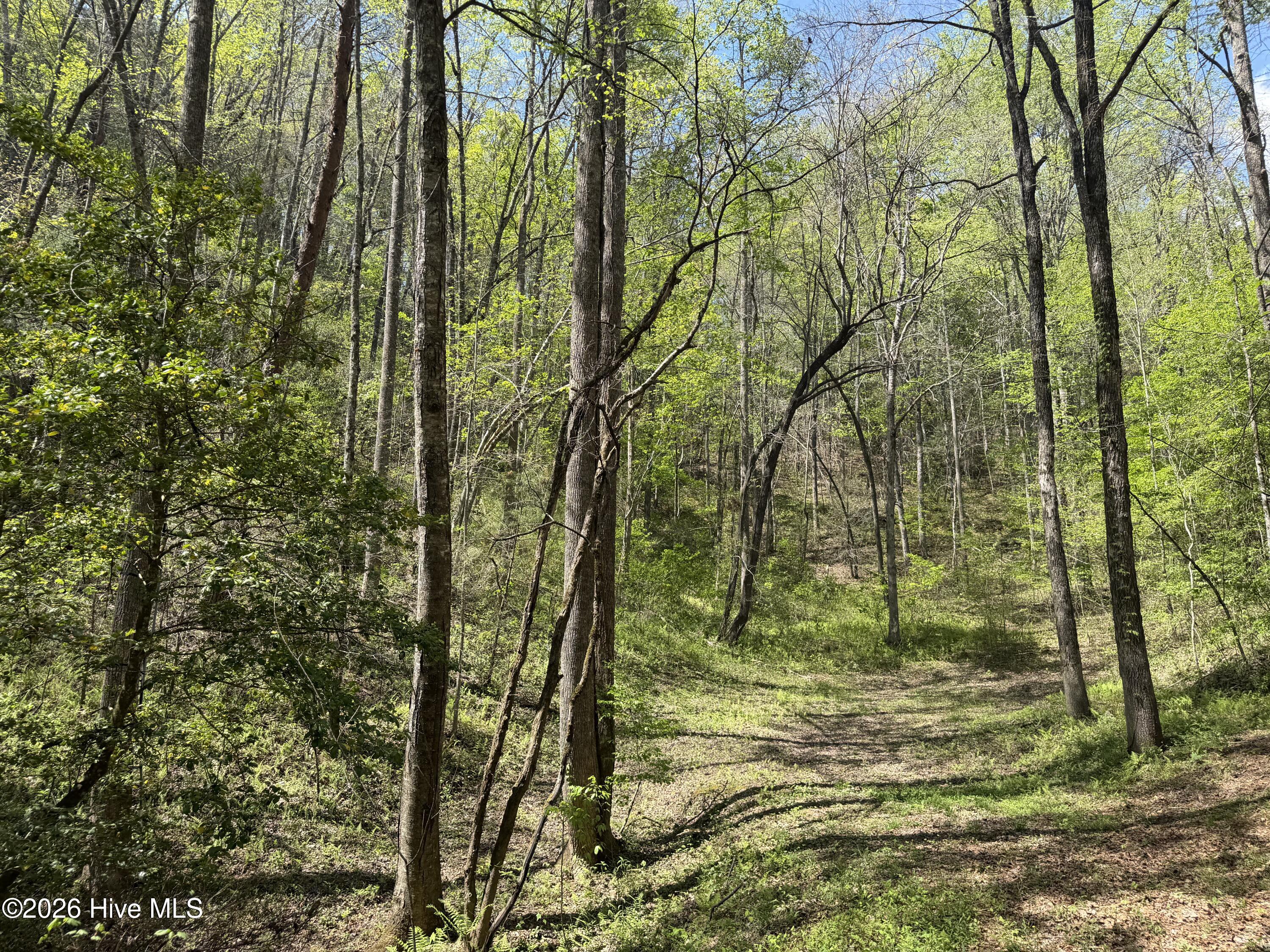 17.96 Lower Vengeance Creek Road Property Photo 2