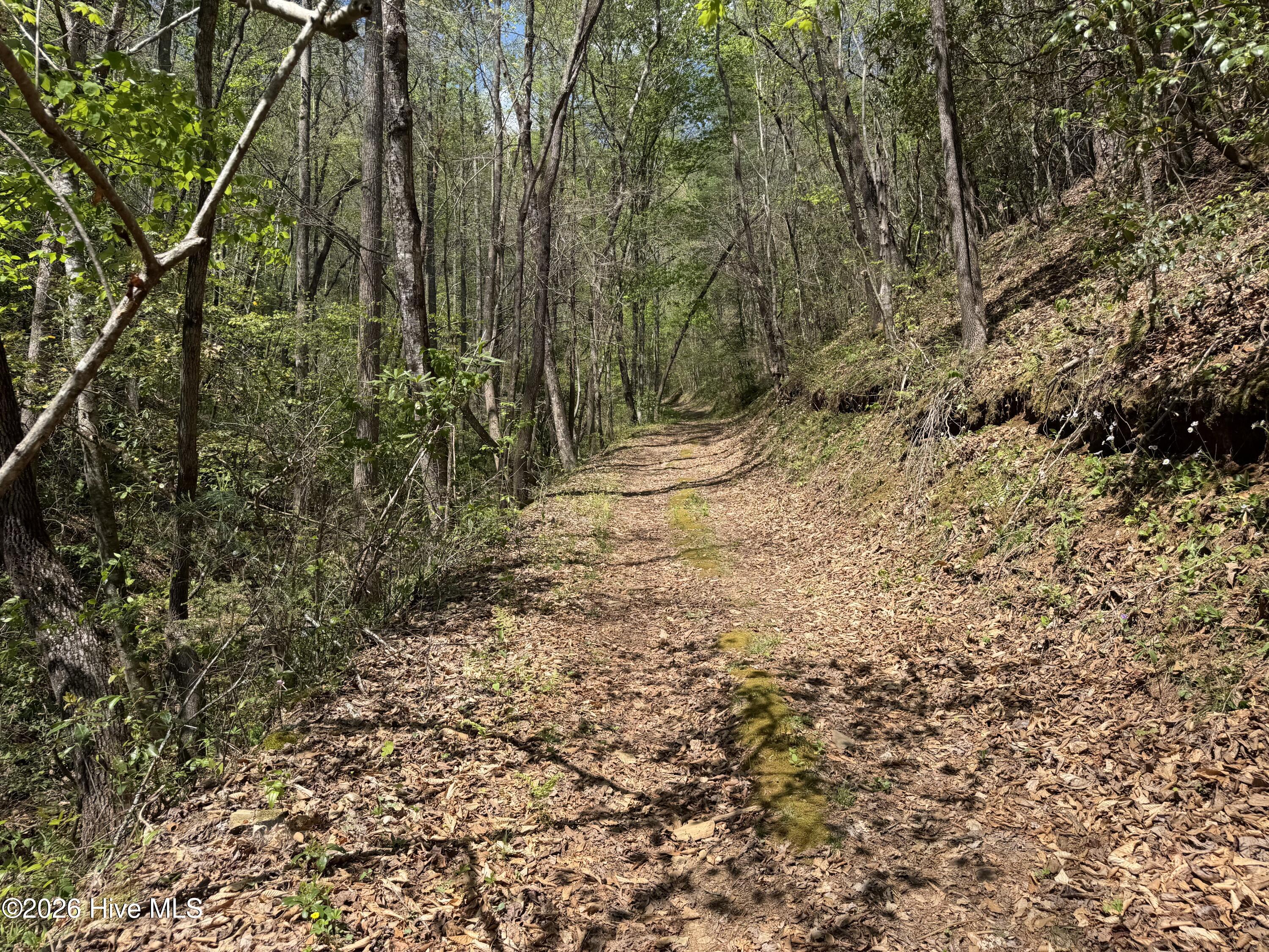 17.96 Lower Vengeance Creek Road Property Photo 4
