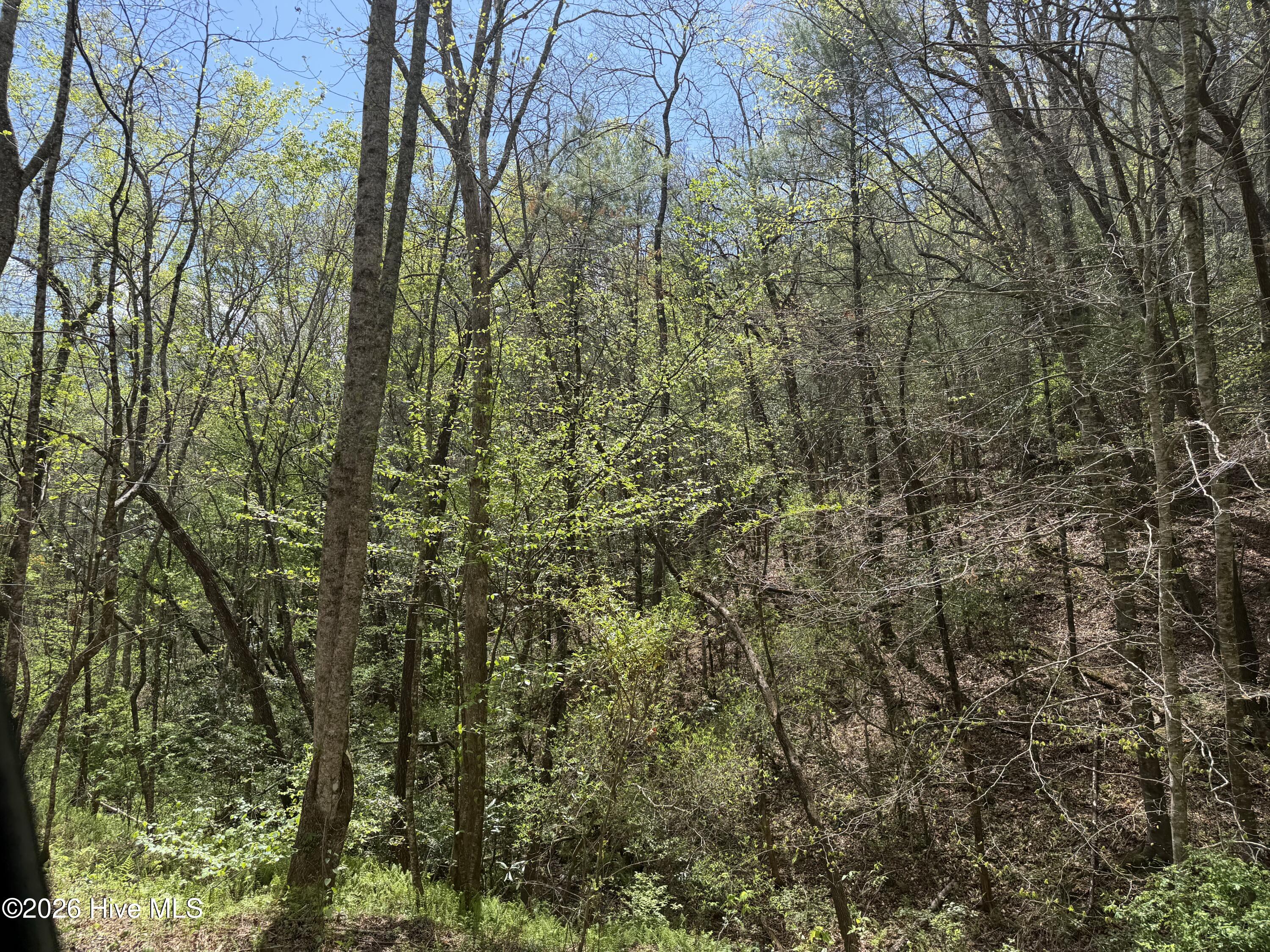 17.96 Lower Vengeance Creek Road Property Photo 6