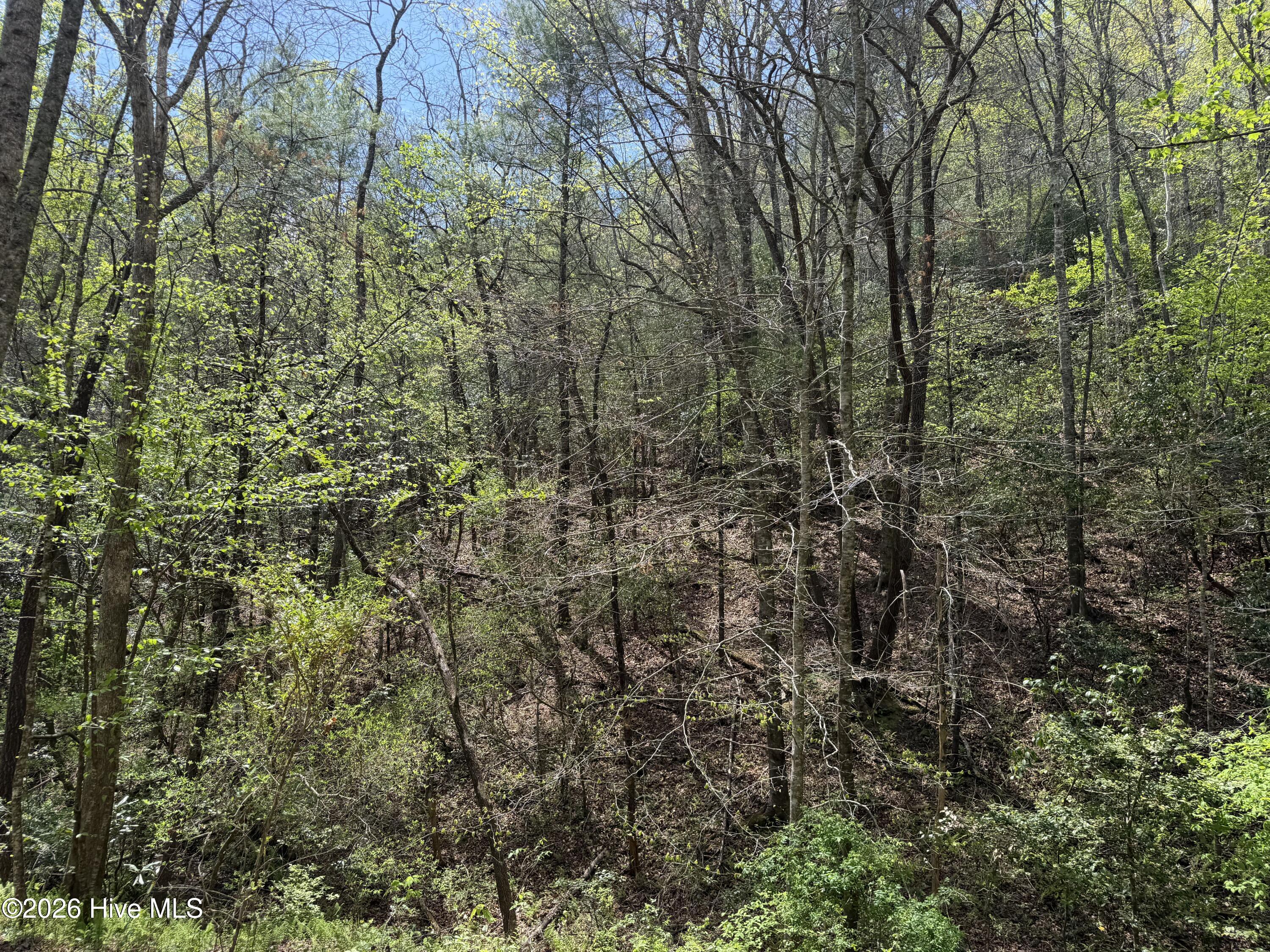 17.96 Lower Vengeance Creek Road Property Photo 7