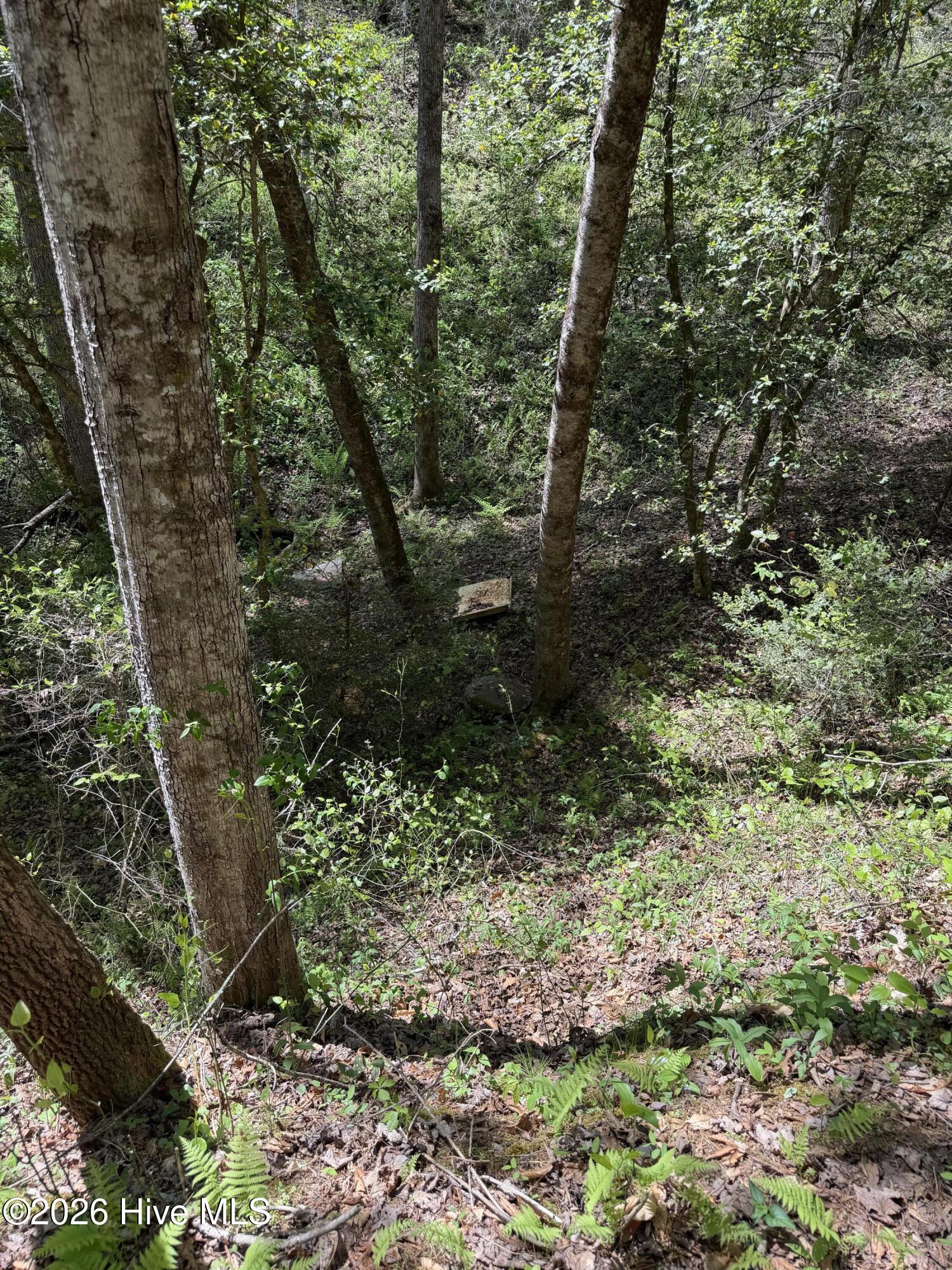 17.96 Lower Vengeance Creek Road Property Photo 9